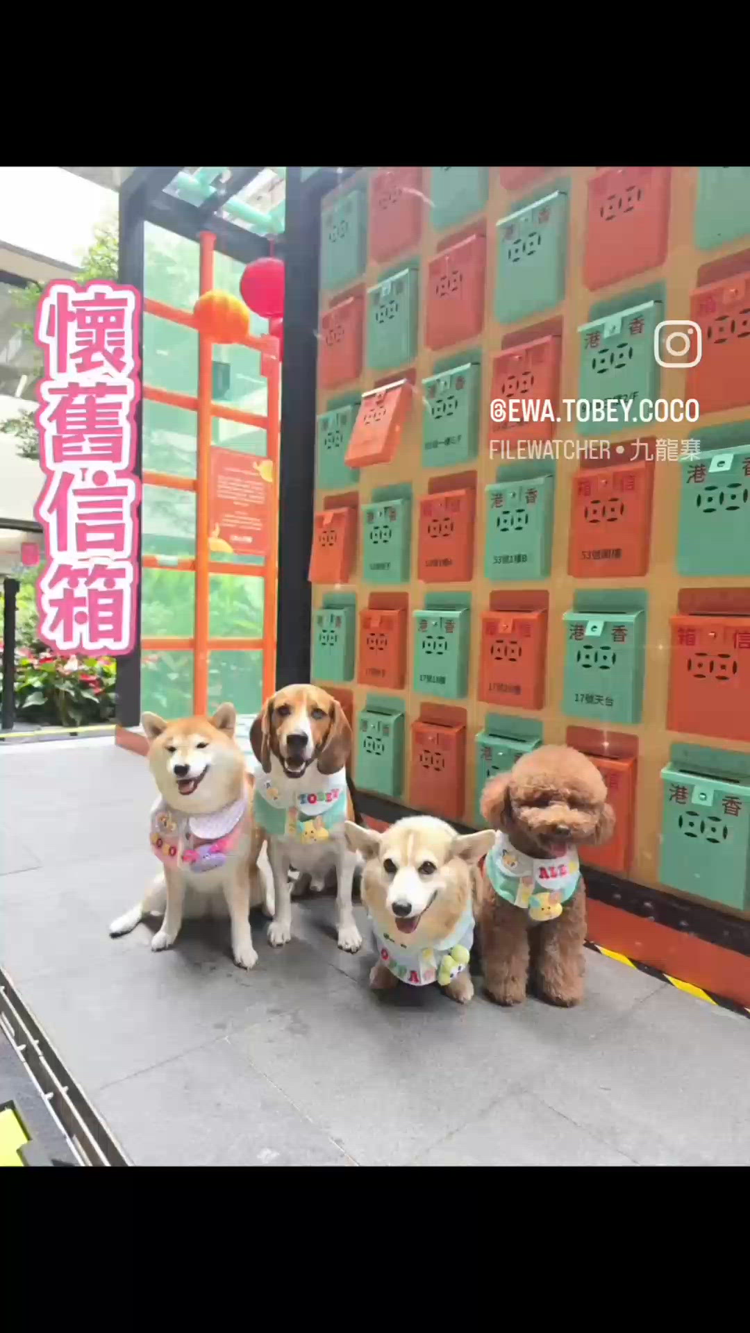 美心月餅期間限定店