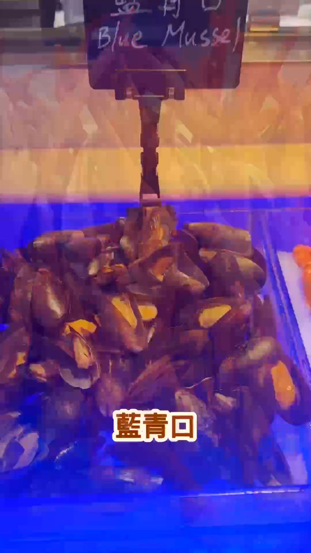 即開肥美生蠔 x 加拿大鱈場蟹腳 x 西班牙美食盛宴!