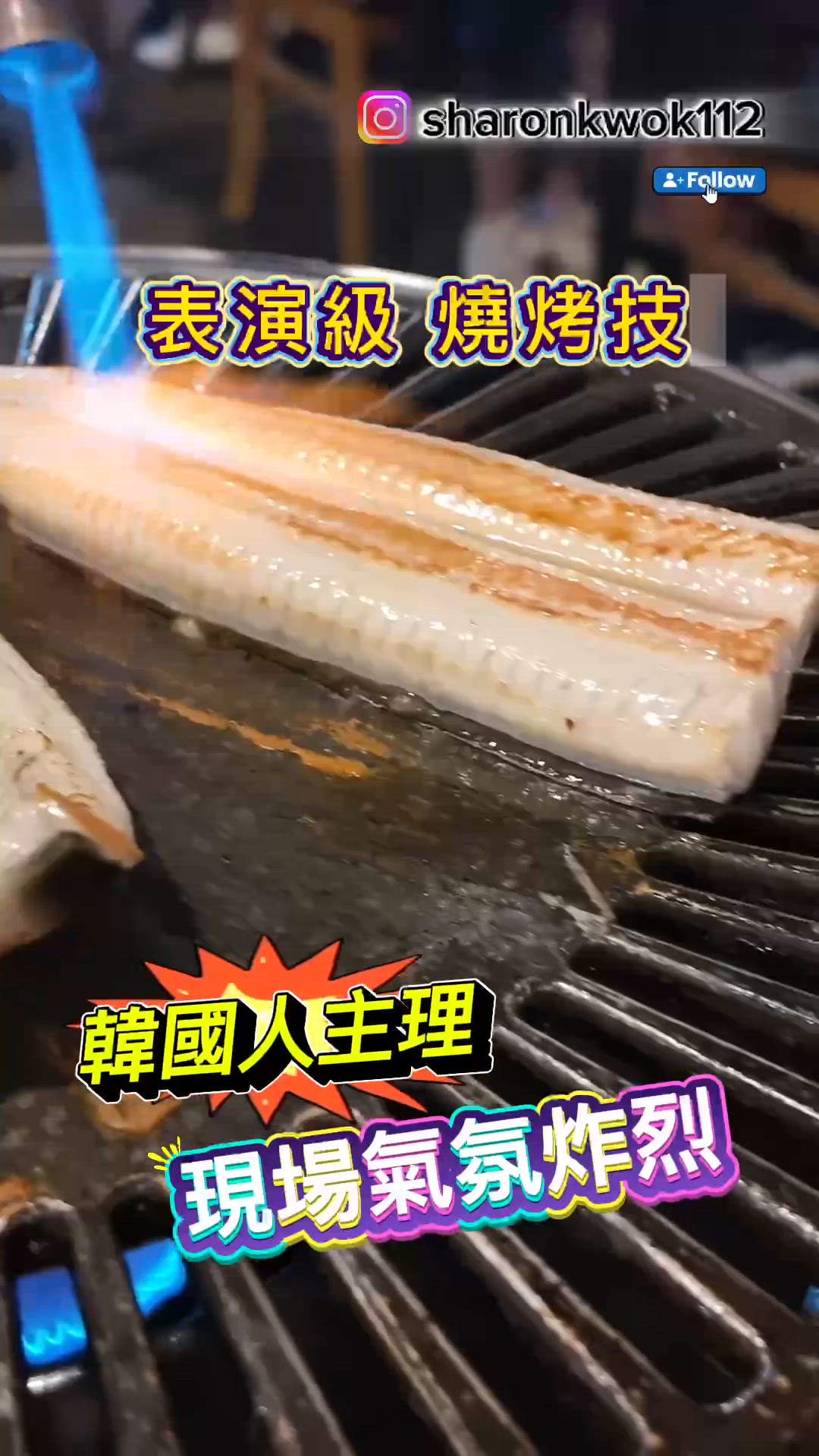 氣氛 抄很熱 . 韓菜 慶生之選