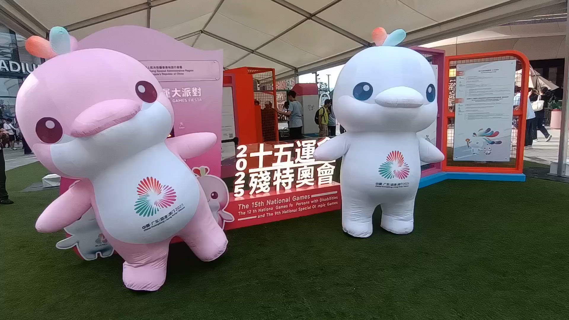 全運會吉祥物好可愛啊🐬