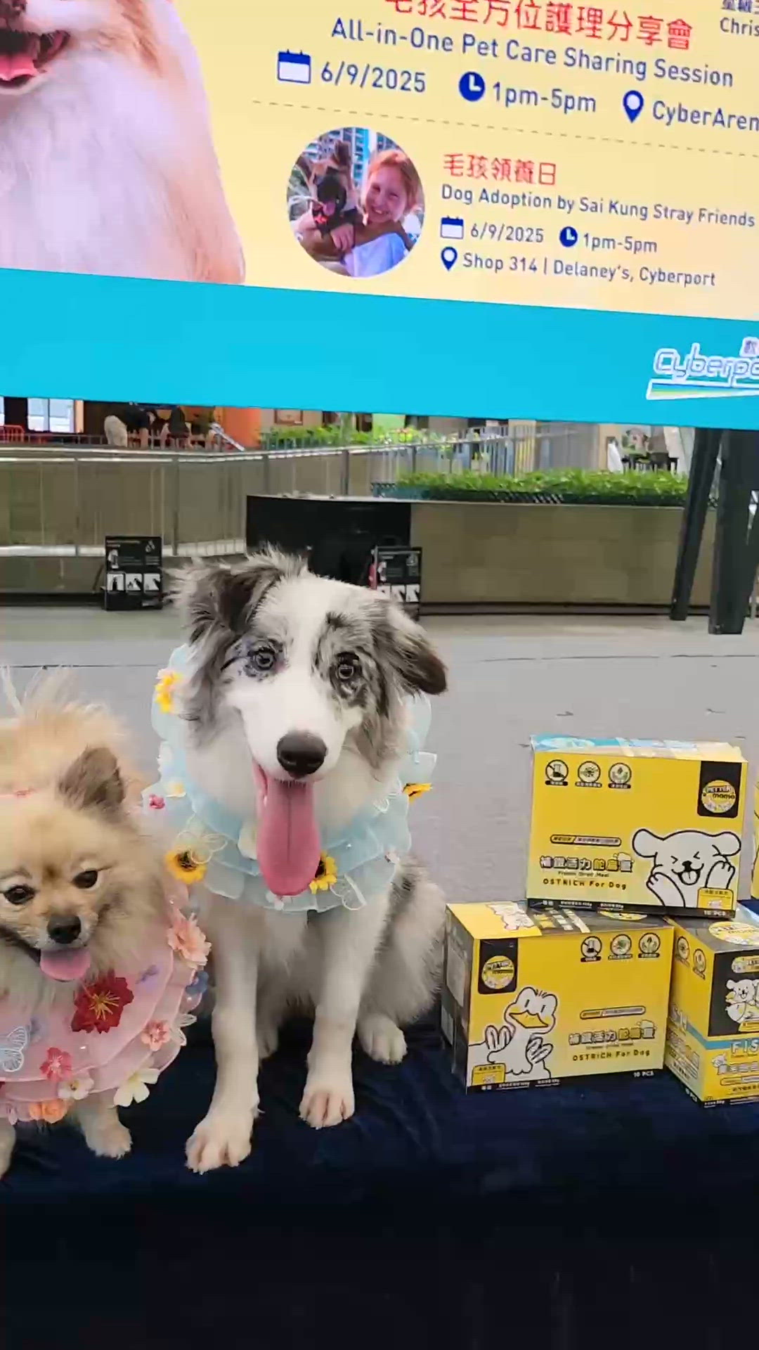 數碼港-快樂毛孩全方位護理分享會