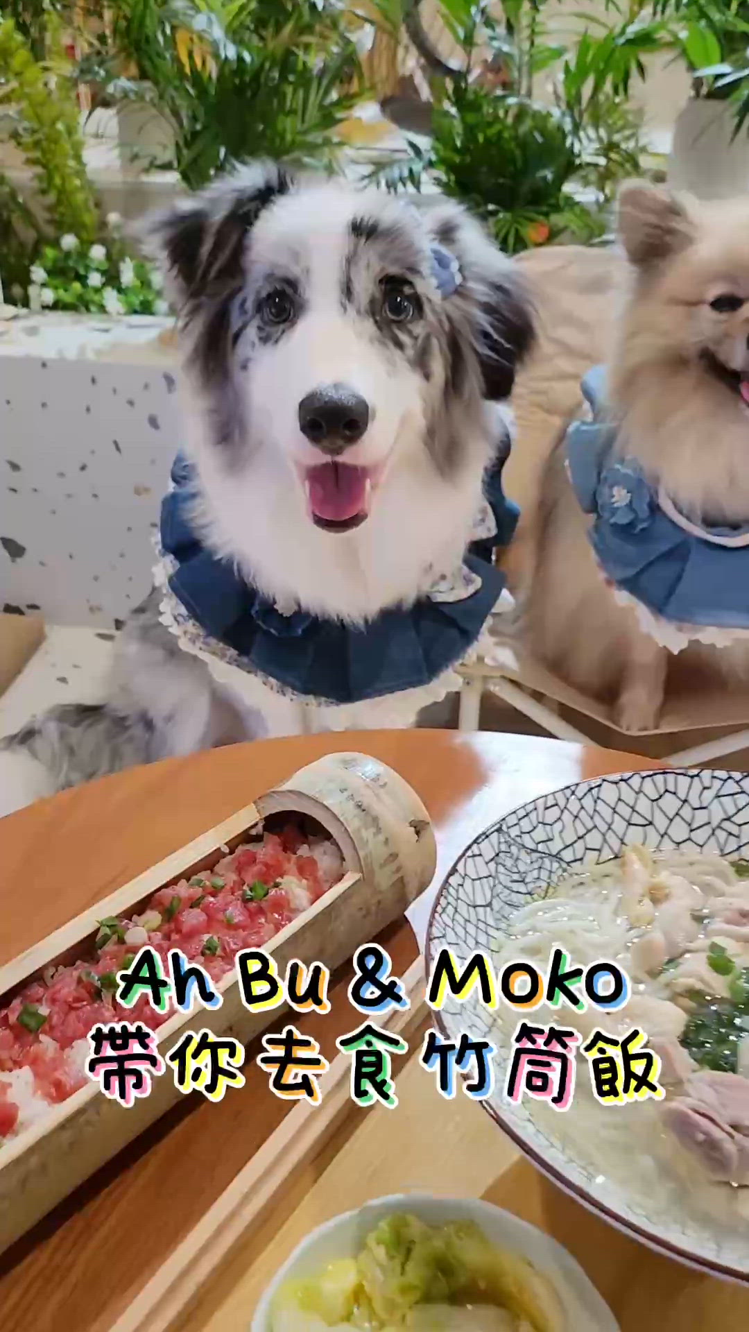 森野薈特式竹筒飯