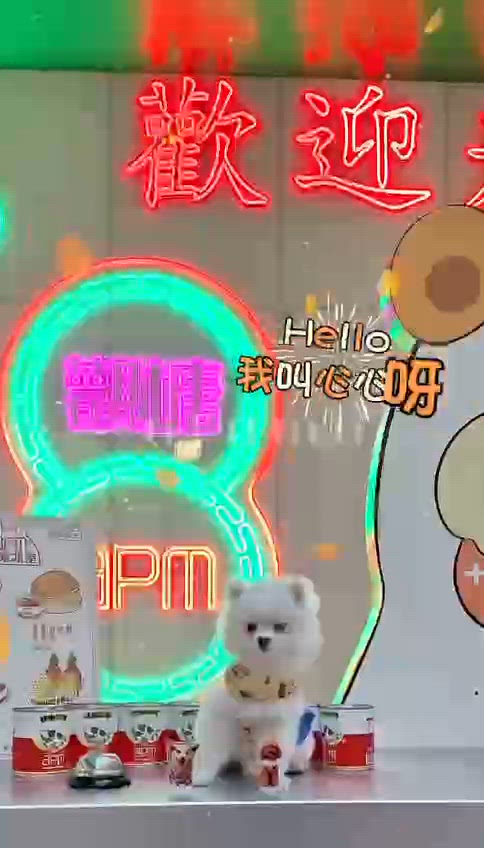 心心一日遊！萌兔冰室開張啦！🐰💖