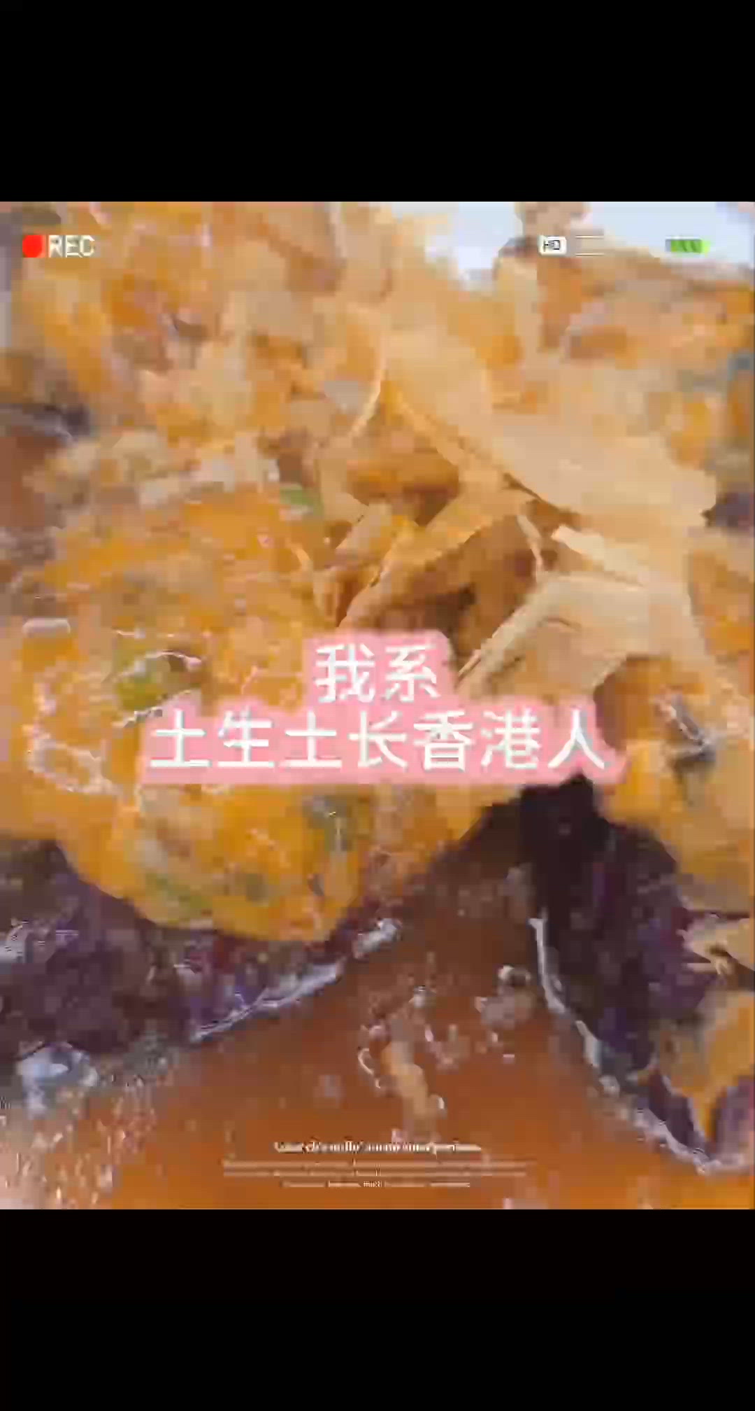 陪老人家發現大可愛！🥰 耶紫報到！🙋🏻‍♀️ 