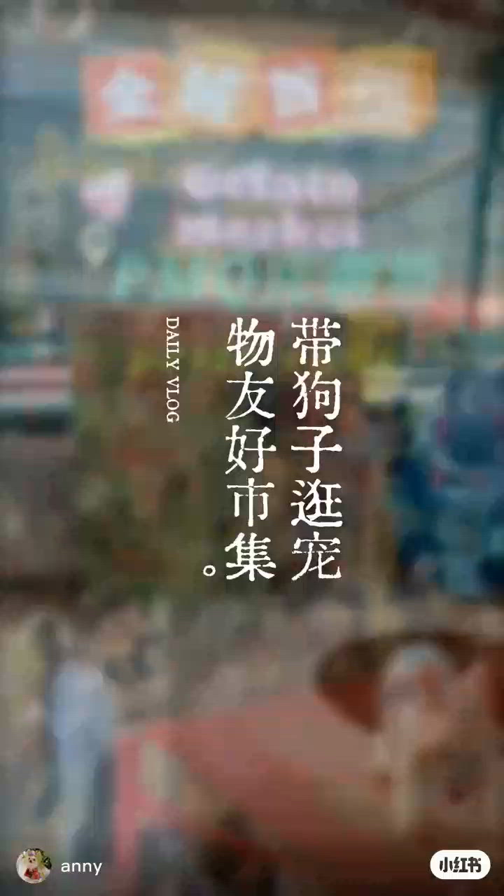 全港首个意式雪糕市集