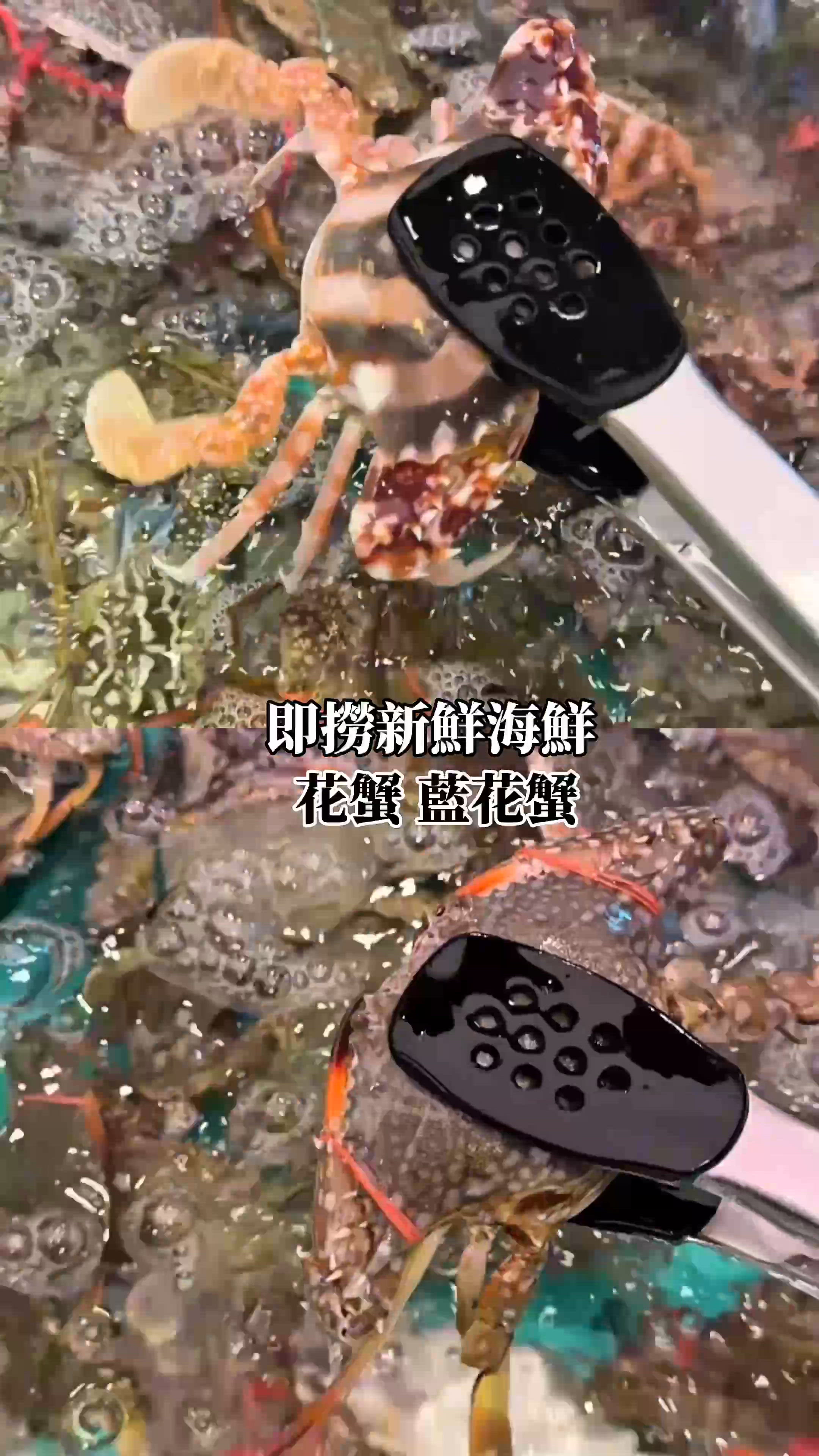 【九龍灣大熱即撈海鮮-千海水產海鮮火鍋放題】