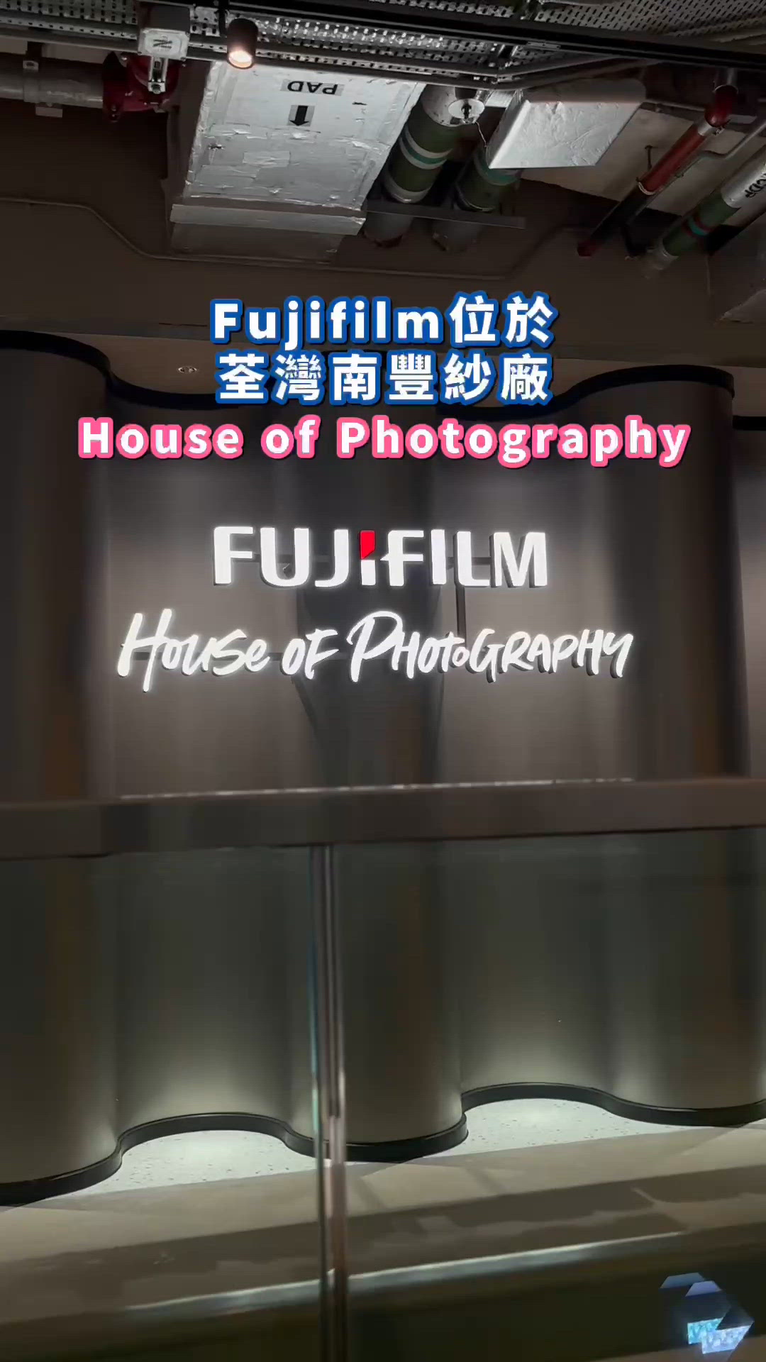 😸竉物身分證😼貓奴必備