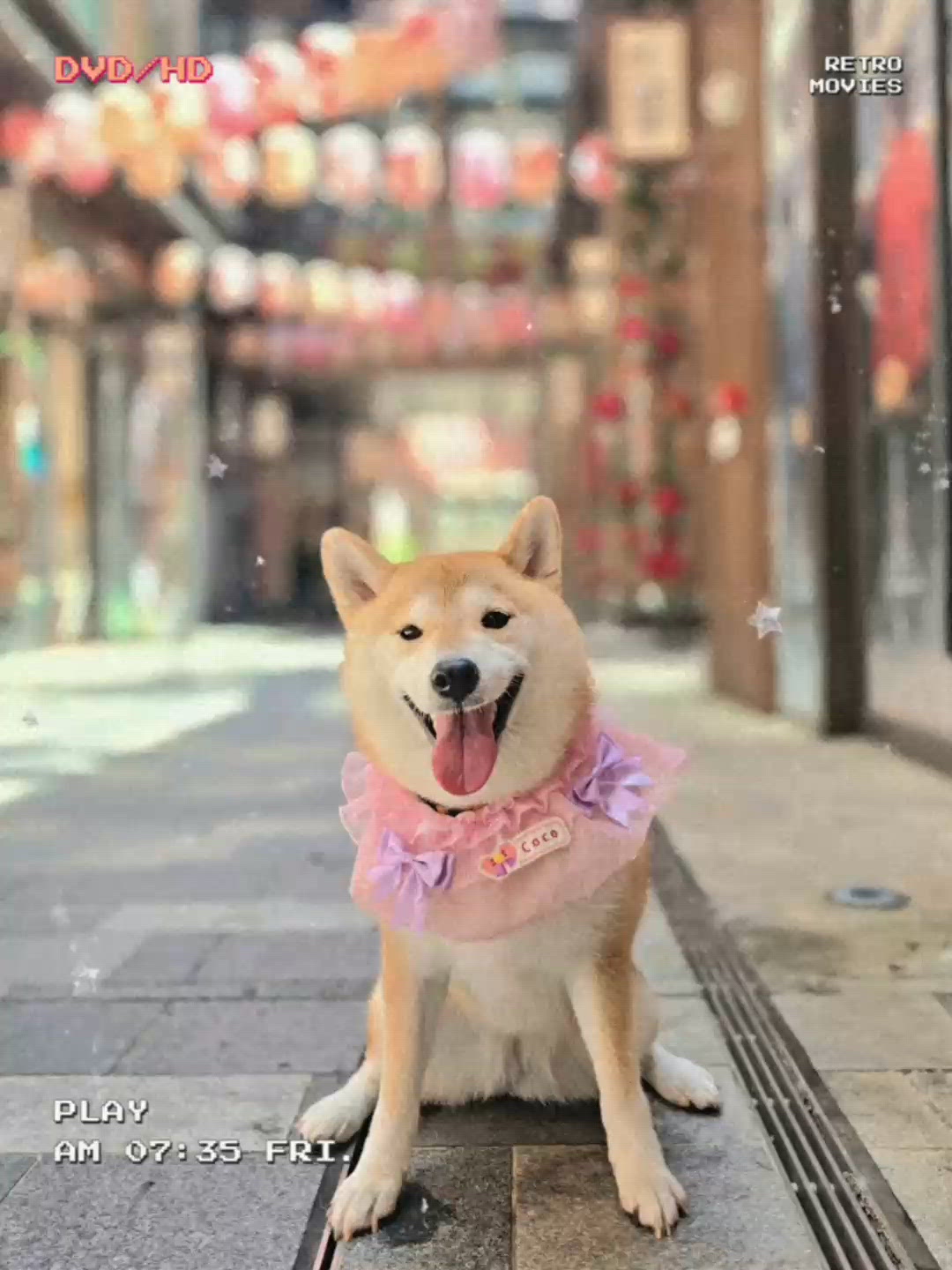 土瓜灣靚景打卡