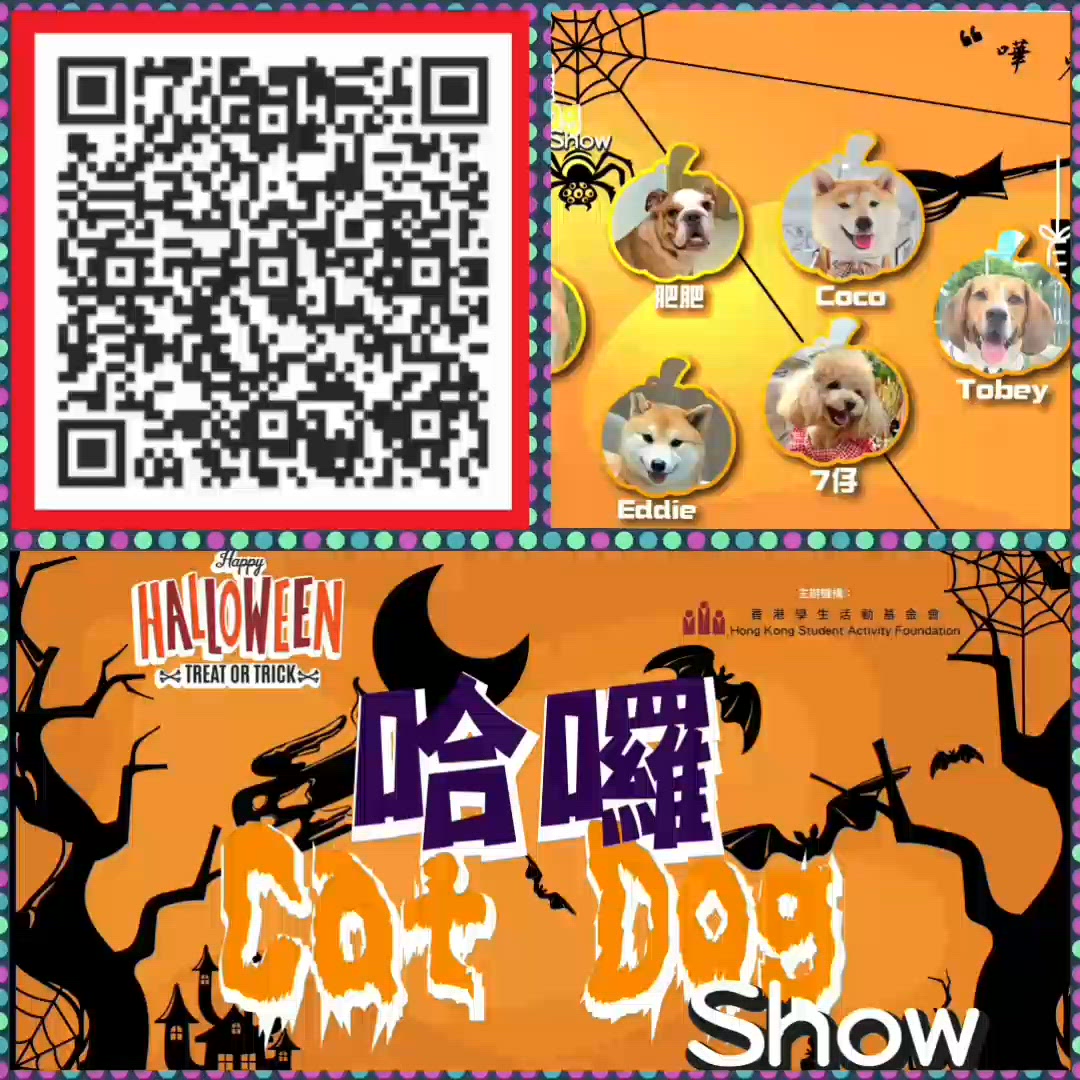 29-10-25圍方哈囉cat dog show