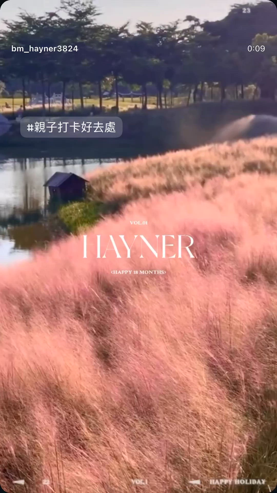 深圳打卡好去處-超浪漫仙氣粉黛草🌸