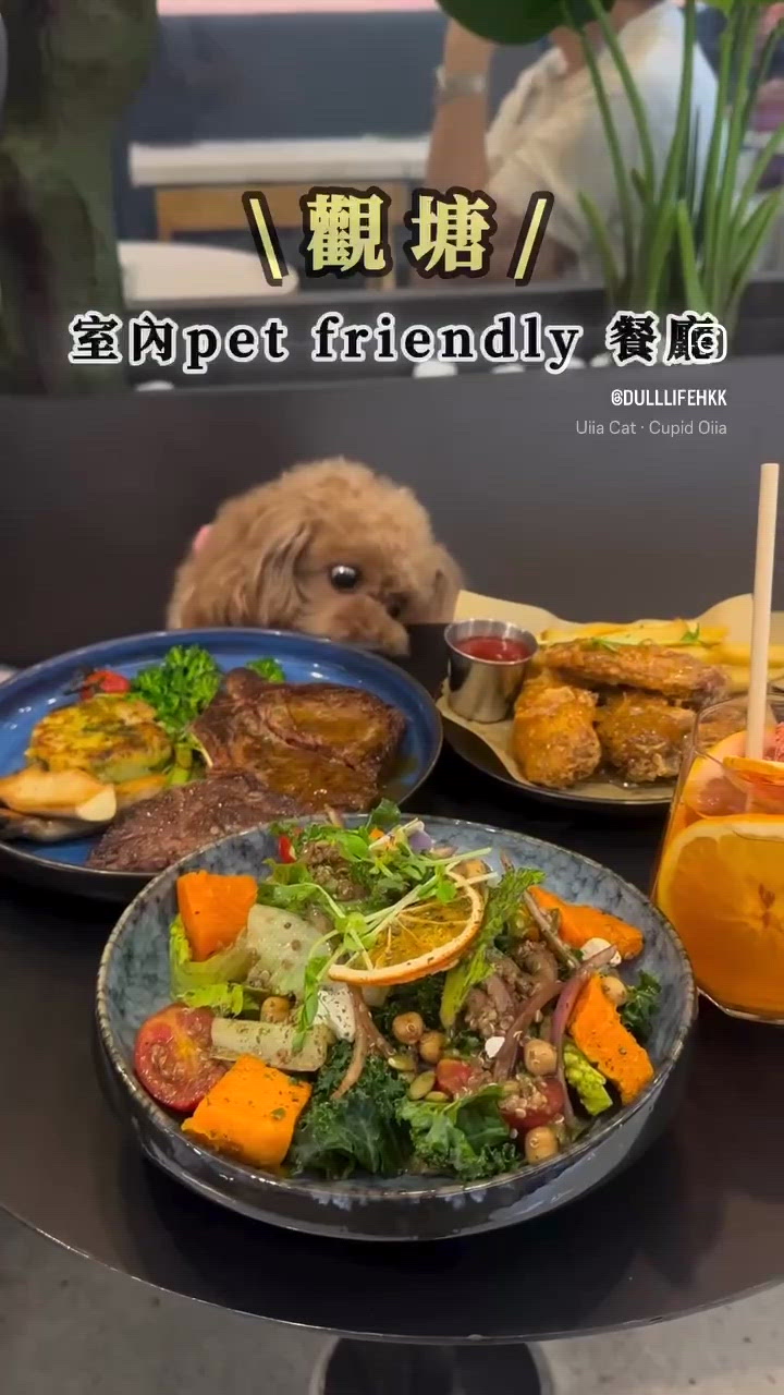 無限回訪 觀塘寵物友善餐廳