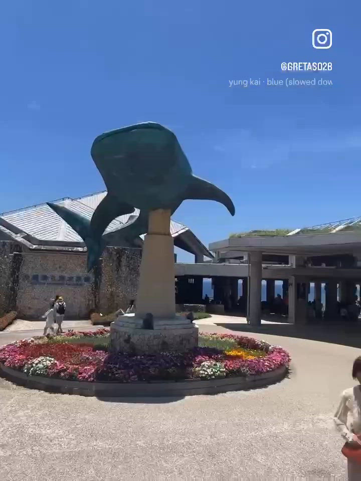 🇯🇵遛娃好去處🩵沖繩美麗海水族館🐬