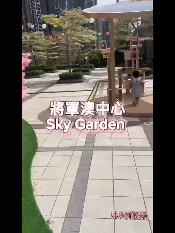 中秋喵喵打咭