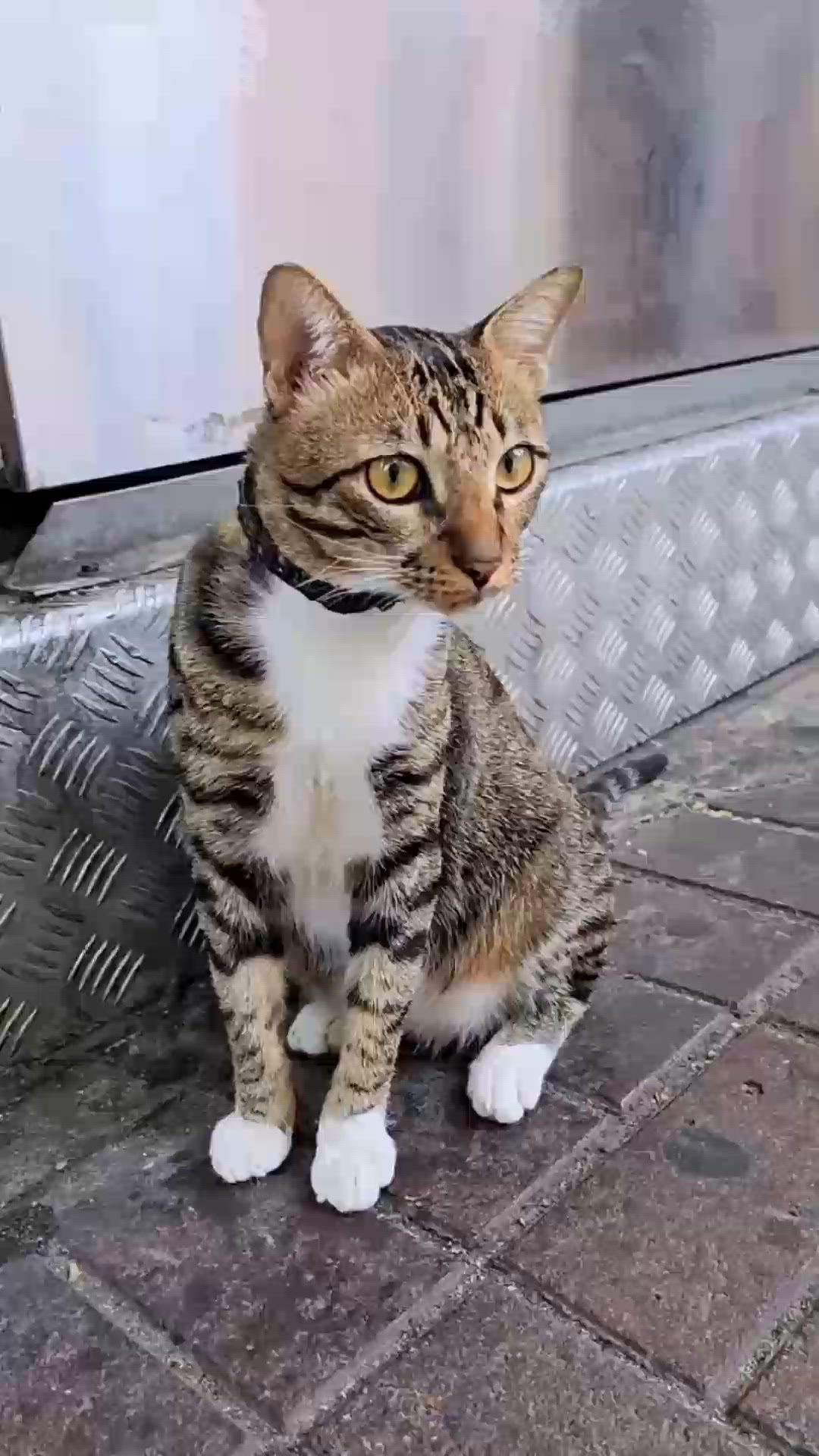 深水埗嘆驚喜早餐