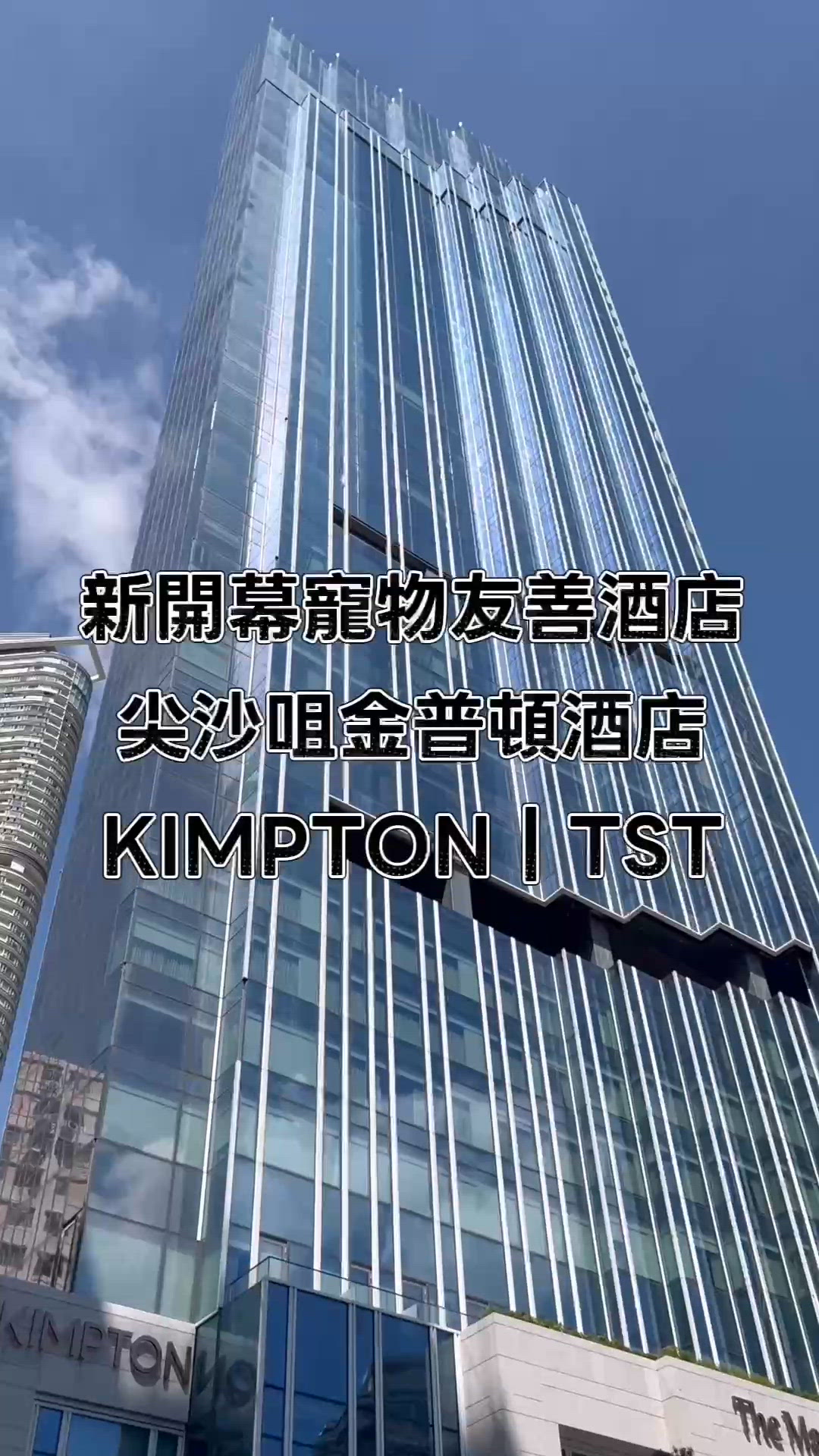 尖沙咀全新開幕寵物友善酒店