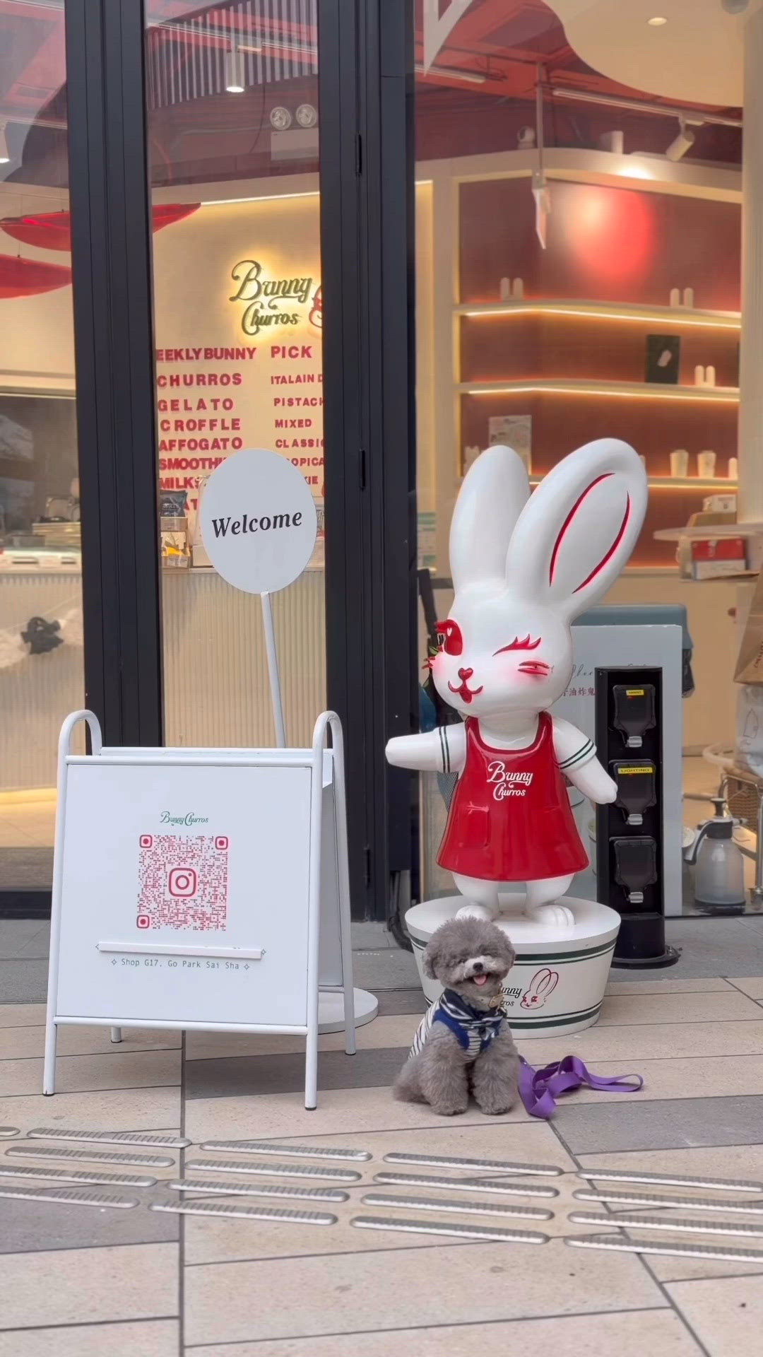 寵物 Smoothie 新登場！喜歡生果嘅狗狗必試 🫐🐶