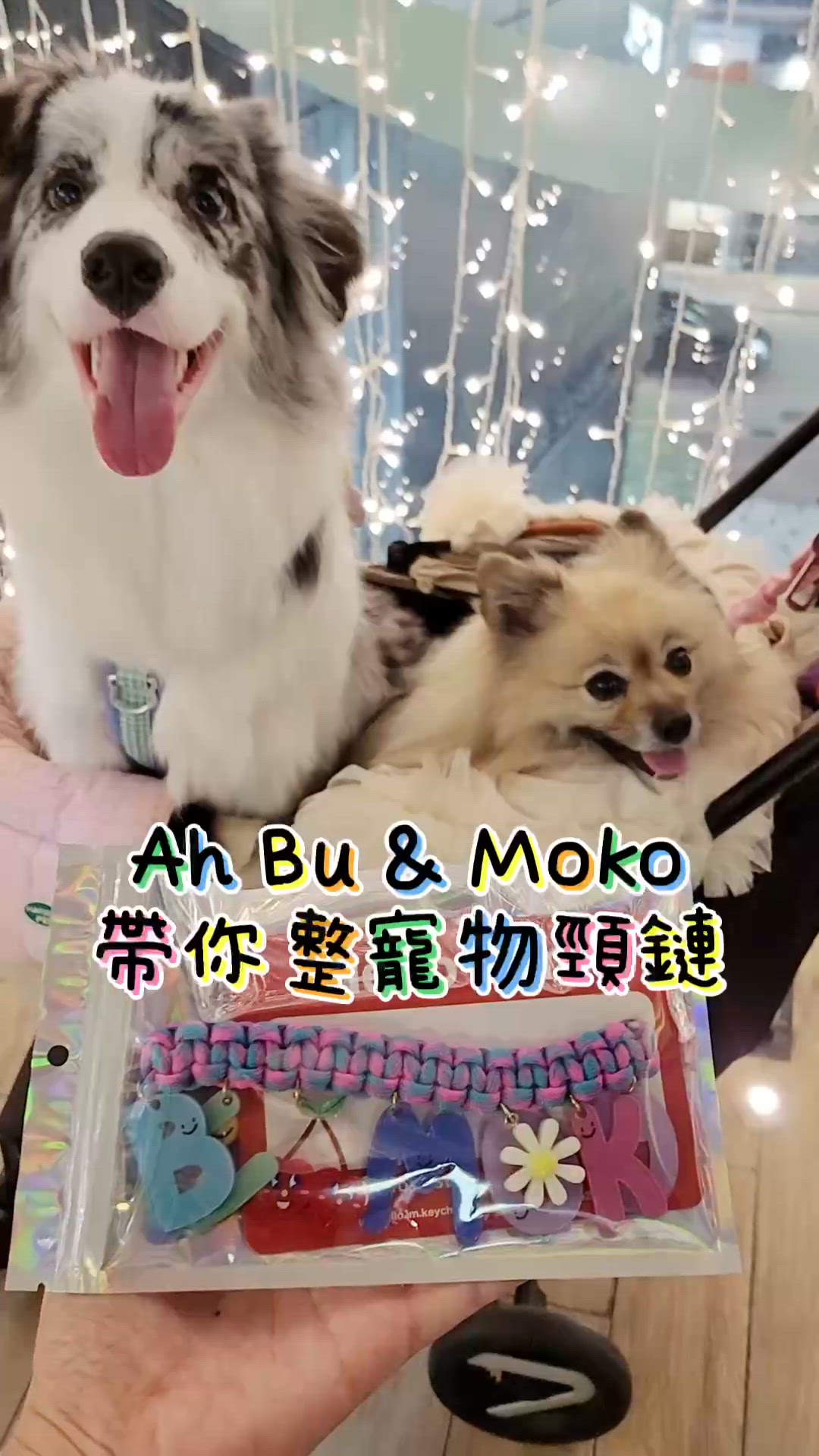 自己設計寵物專屬頸鏈