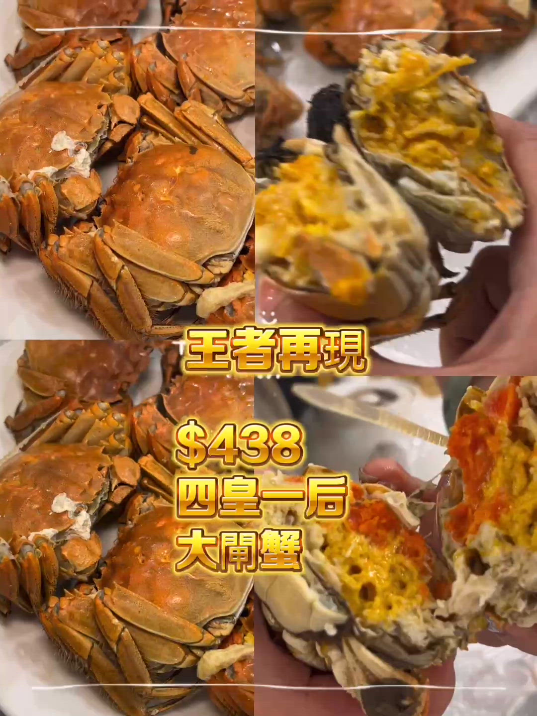 $438任食5隻大閘蟹🦀！蟹黃自由🤤！