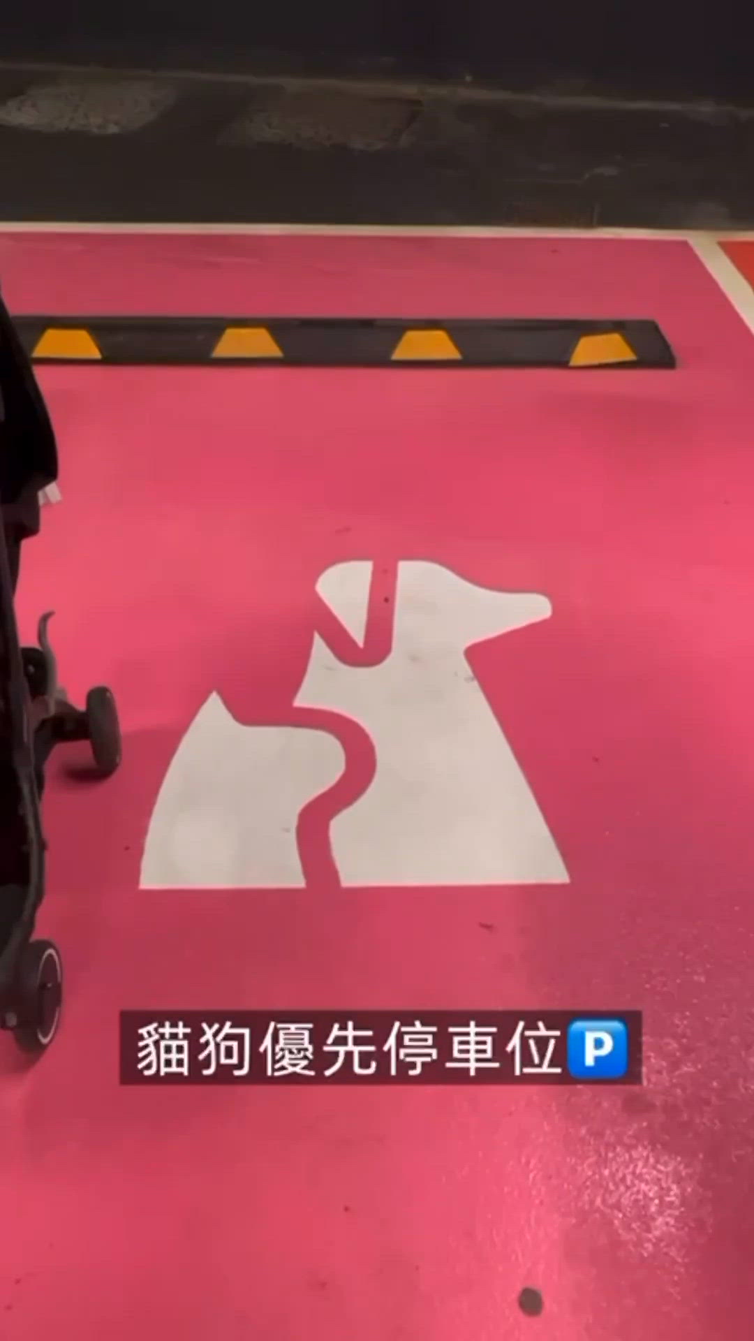 圍方寵物友善商場🩷 夏日大解放