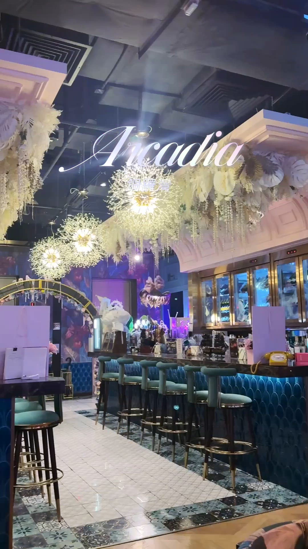 銅鑼灣今日生日飯🤩！靚景美食🥂！