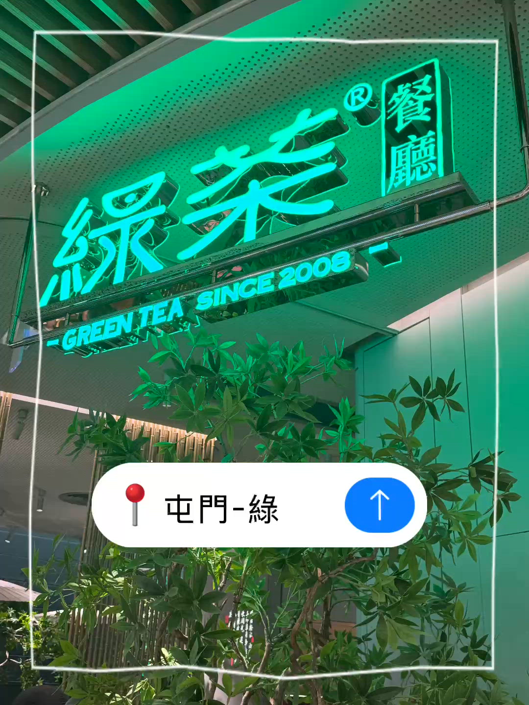 綠茶餐廳屯門開張！😋 米芝蓮名廚菜單超正！
