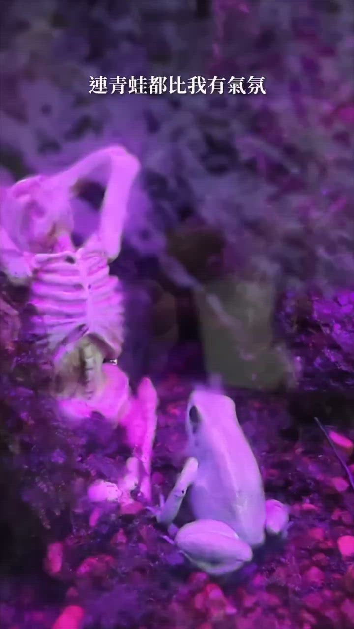 海洋公園萬聖節👻！睇青蛙🐸+鬼屋😱！快啲嚟玩！