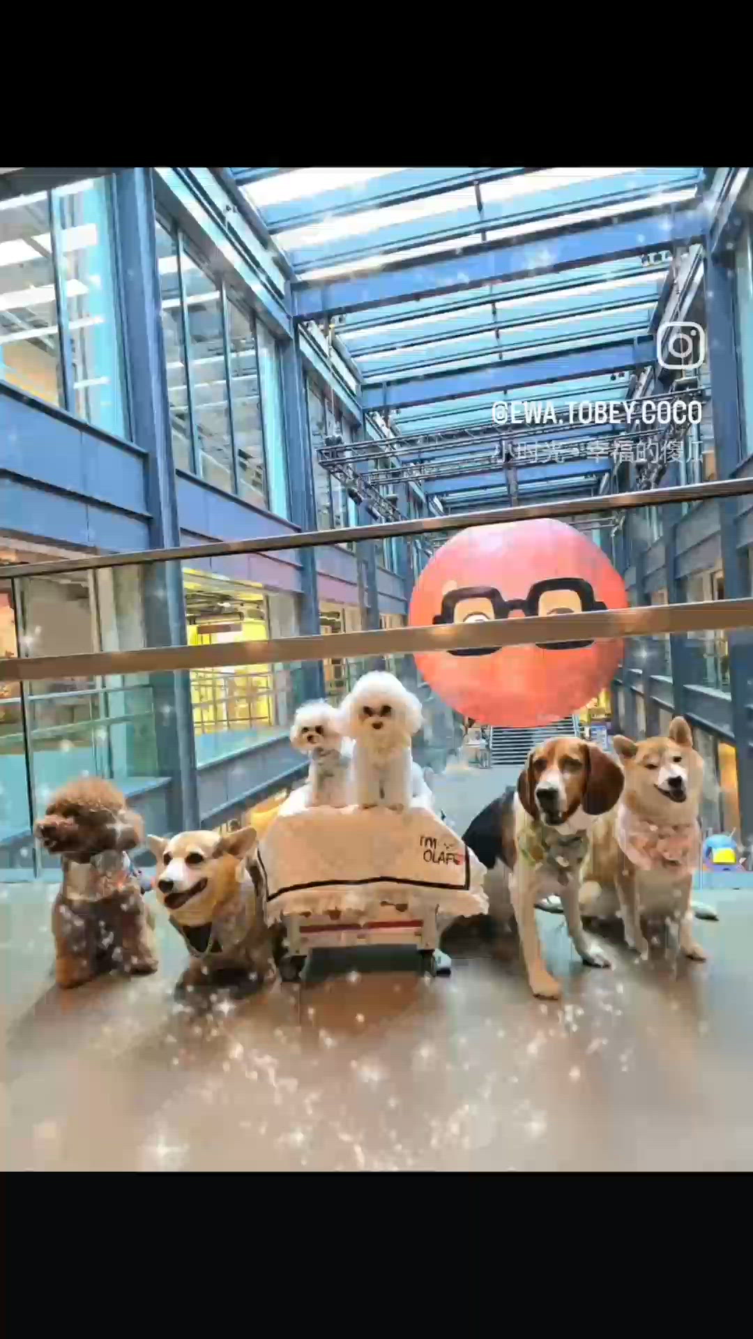 南豐紗廠飲茶打卡