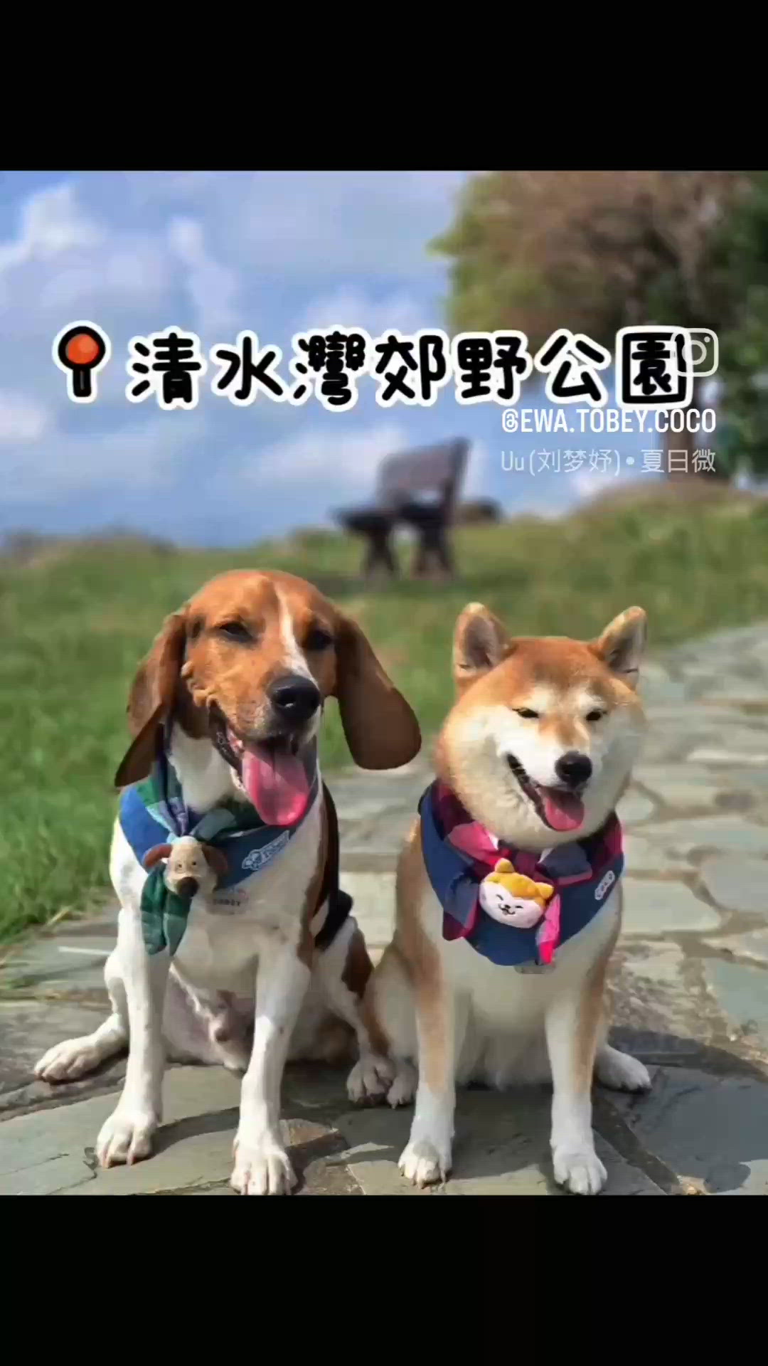 清水灣郊野公園