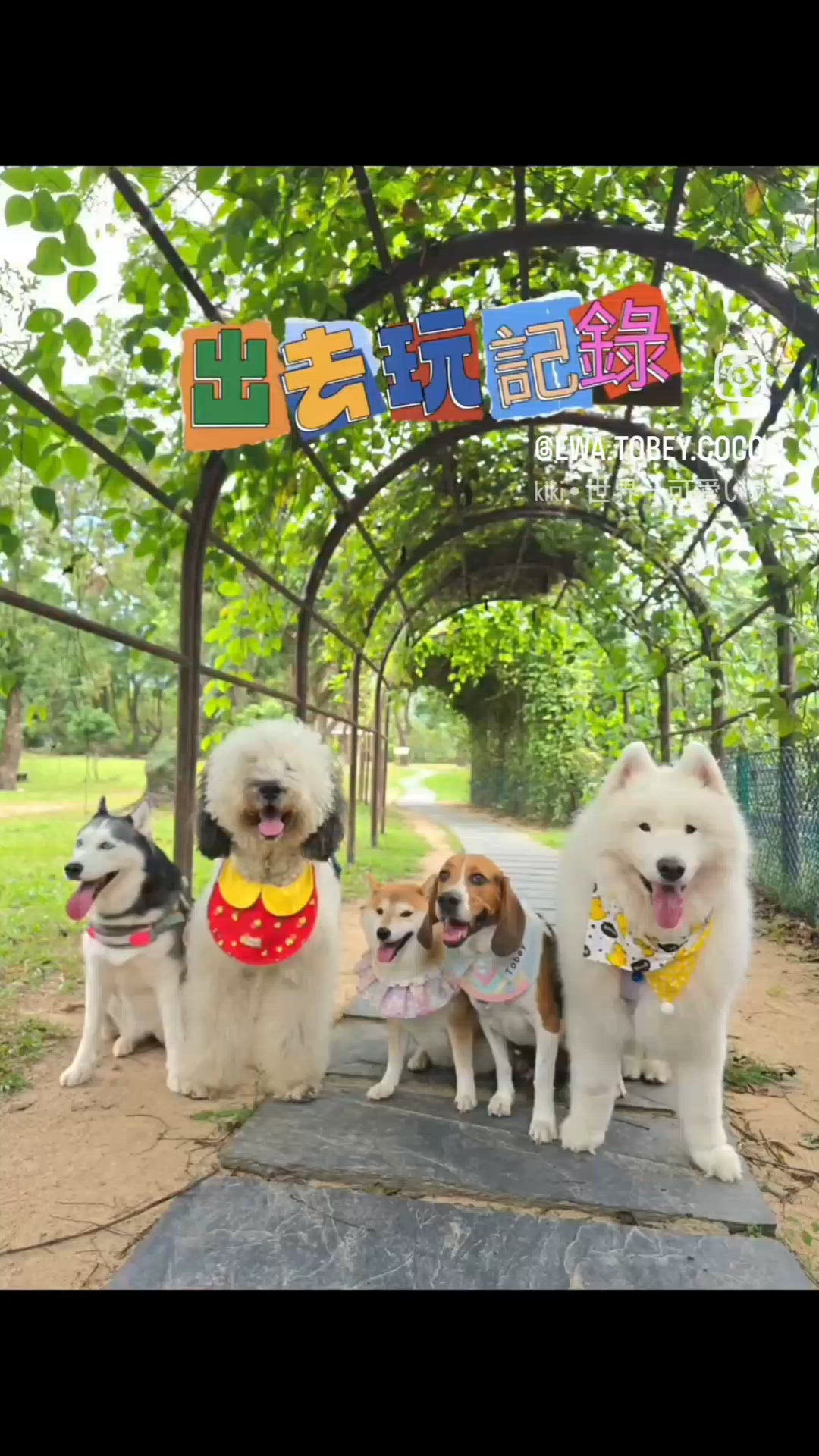 獅子會自然教育中心，人狗都咁開心！