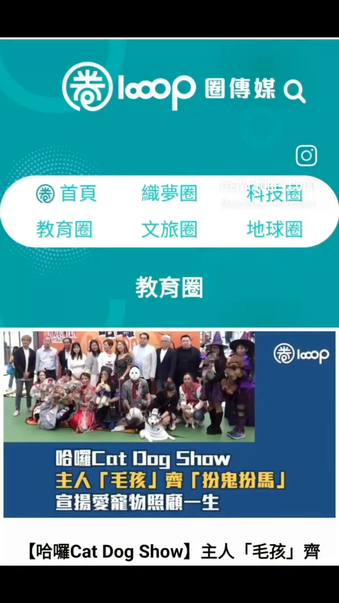 哈囉cat dog show at 圍方