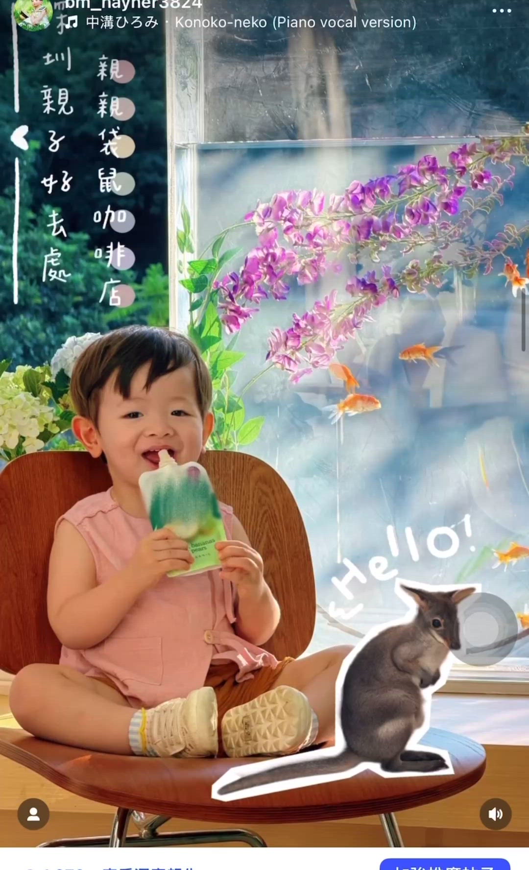 深圳打卡好去處❗️有袋鼠🦘摸既咖啡店