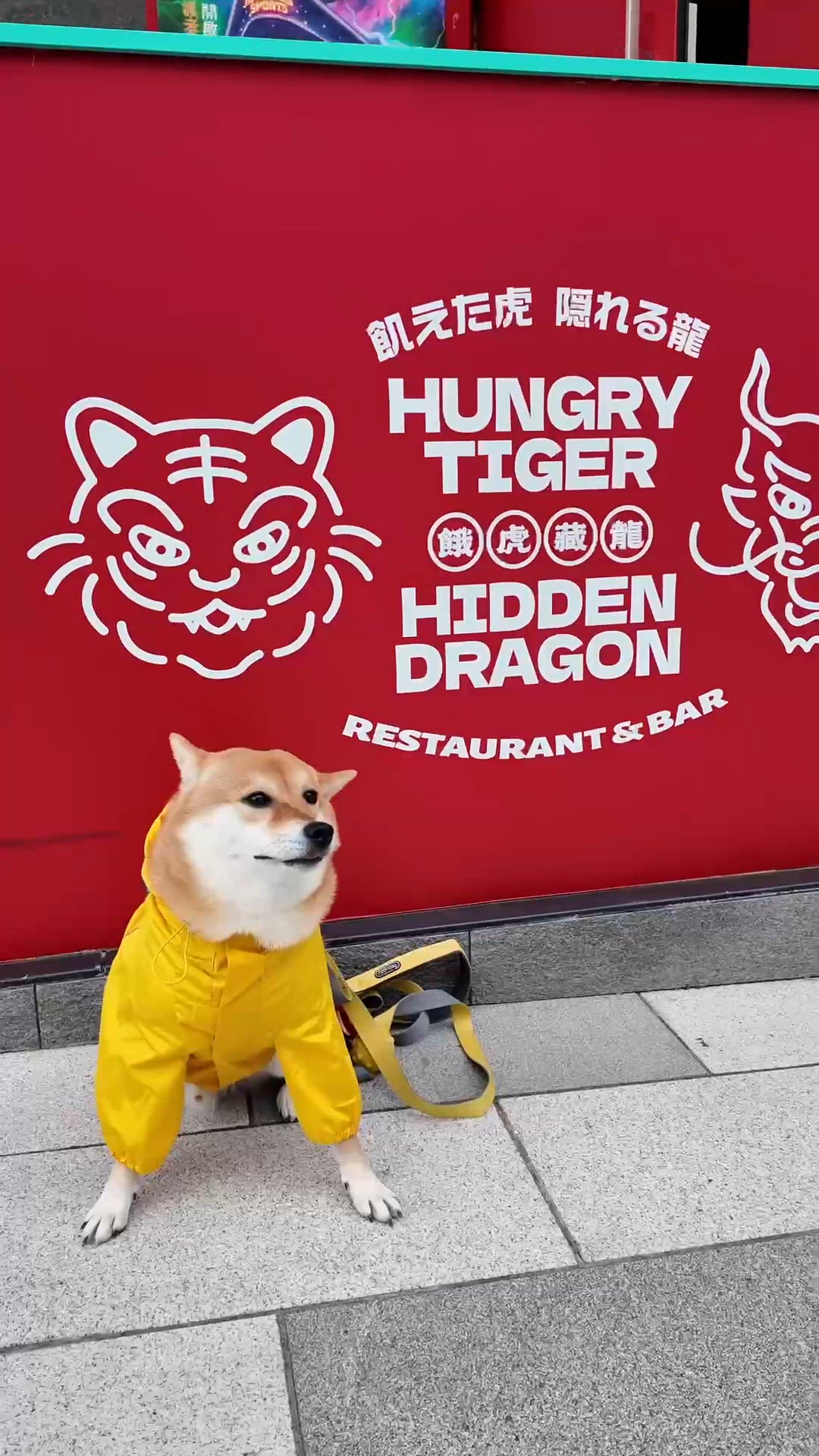 今次嘅帶大家食萬聖節套餐👻🎃