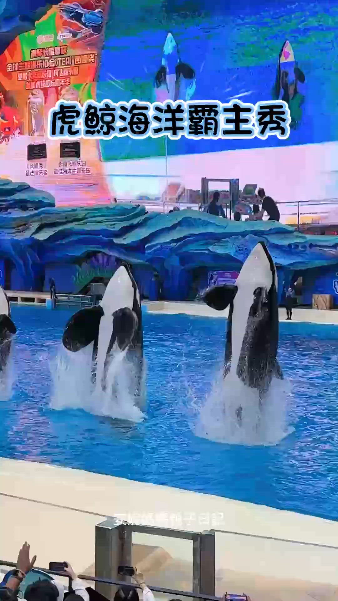 【 超近距離觀賞虎鯨一家｡全球最大室內樂園 】