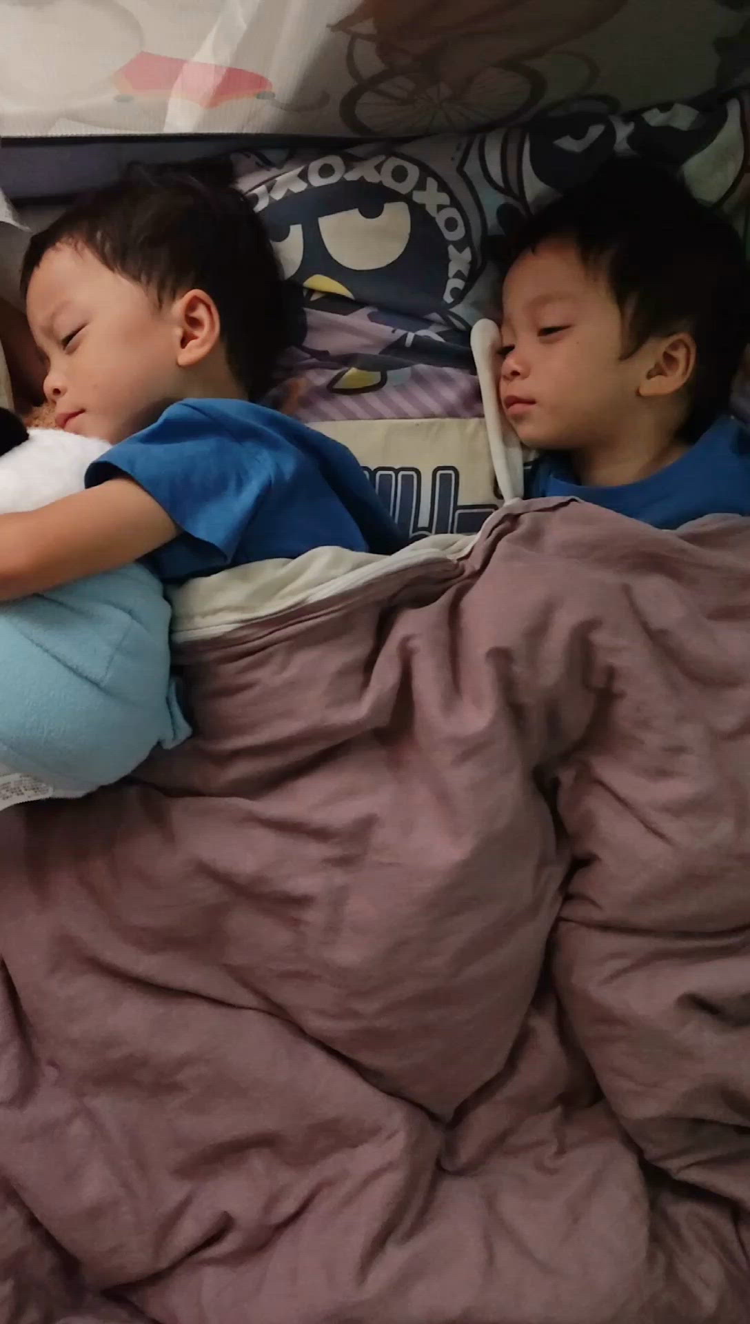 雙職媽媽的忙碌，萬寧助眠好物