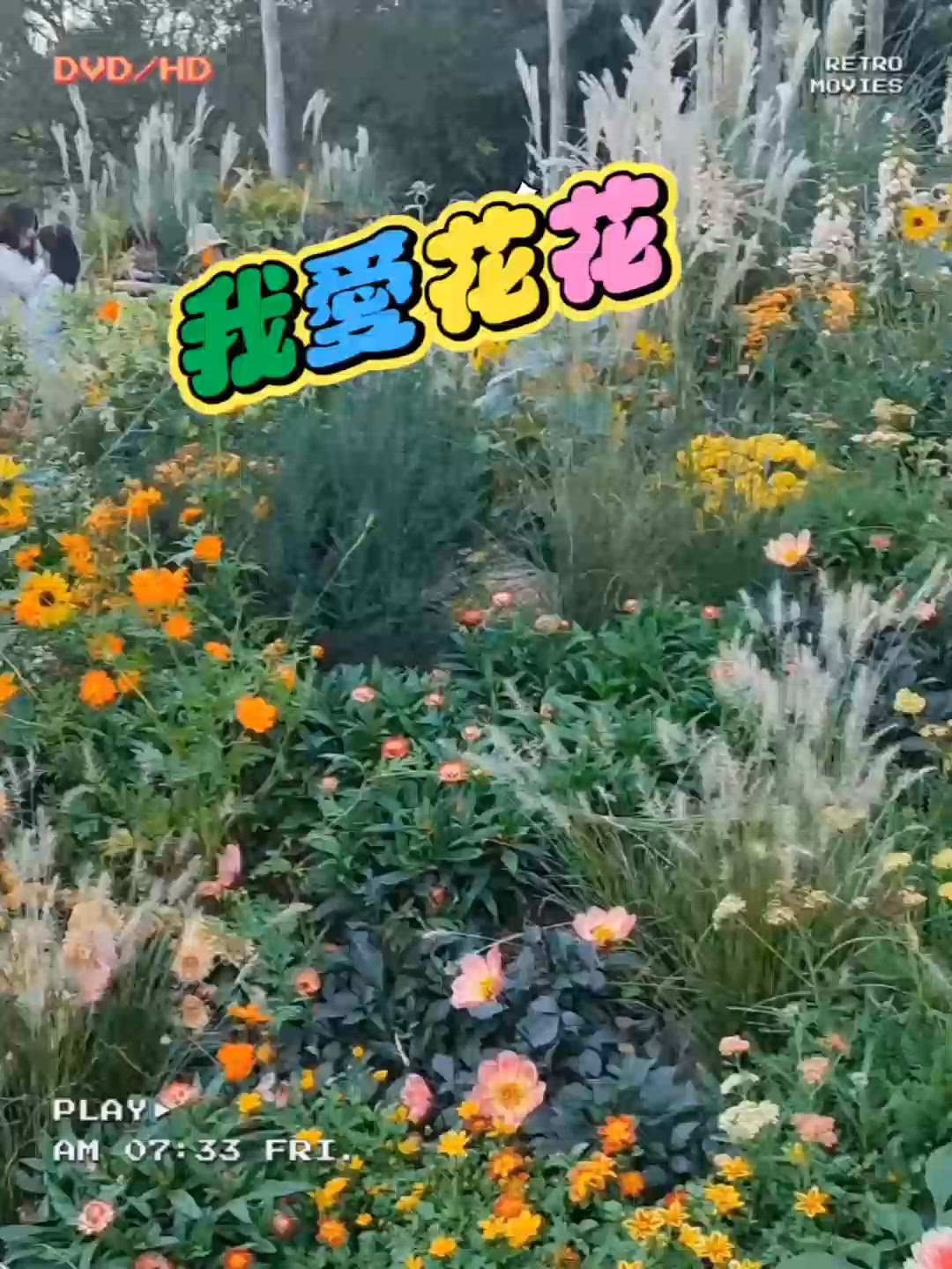 🌸我愛花花🌸之仙湖花展🍁！秋日限定🎨，影相打卡📸！