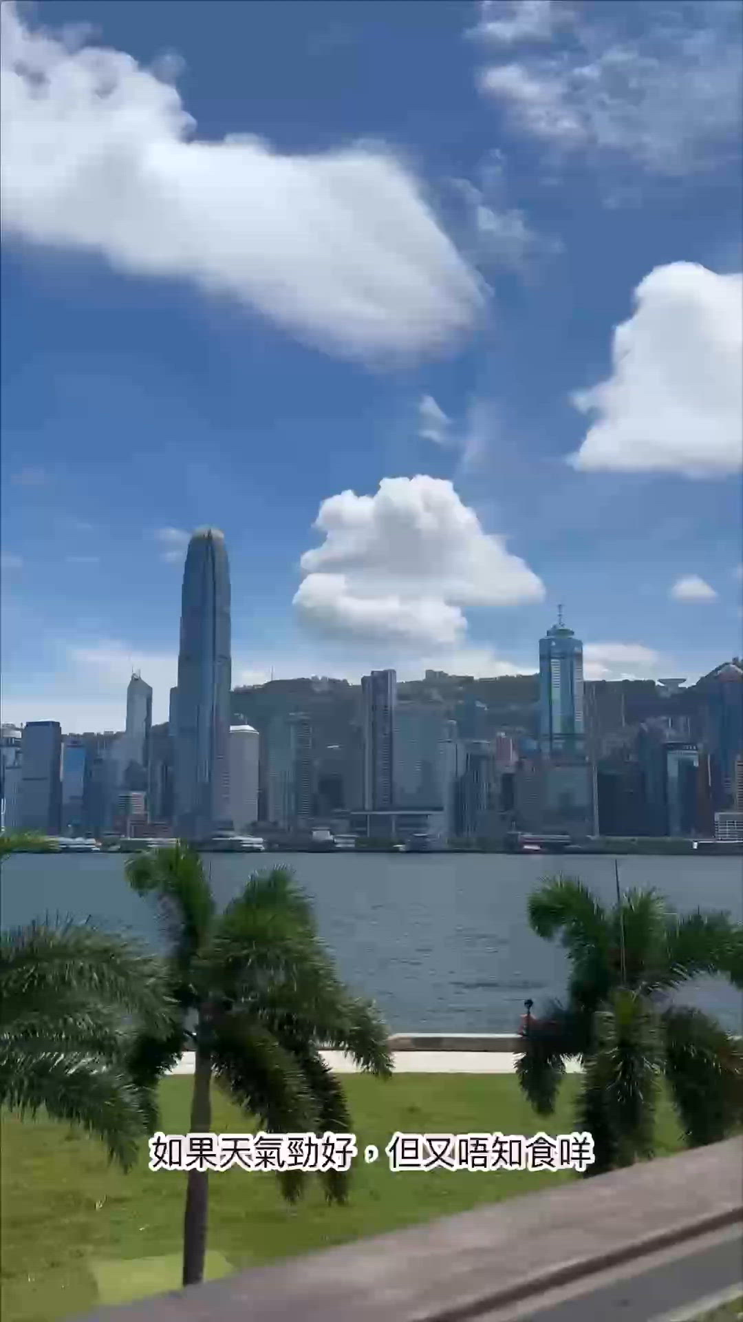 西九法國菜🤤！浪漫海景+高質美食，放假必去！🌊🇫🇷