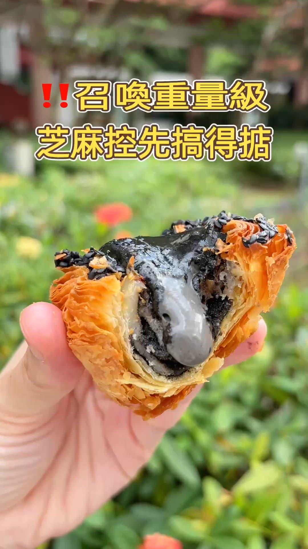 🎏係要重量級芝麻控‼️先搞得掂呢個撻🤪