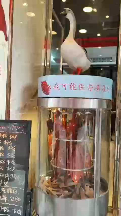 邊個話我傻🤣🤣我請你食燒鵝🤣🤣