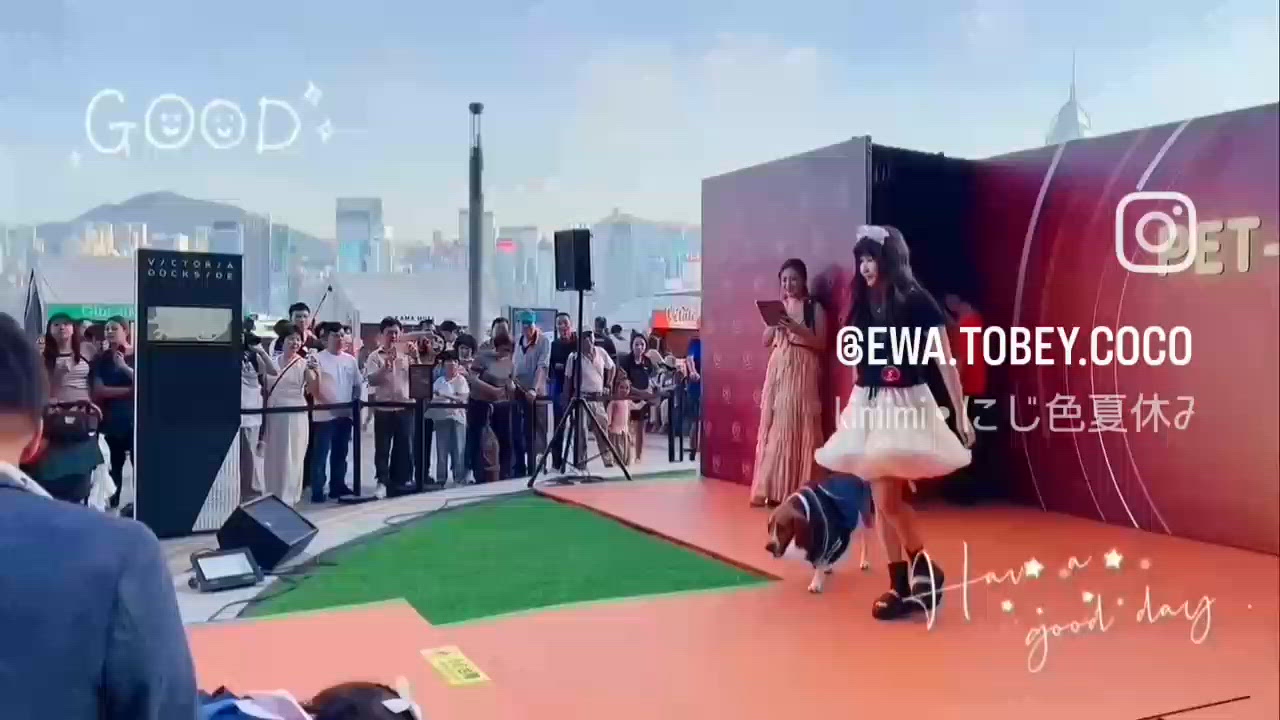 全港首屆人寵時裝展真係好精彩, 感謝總部 @petahood