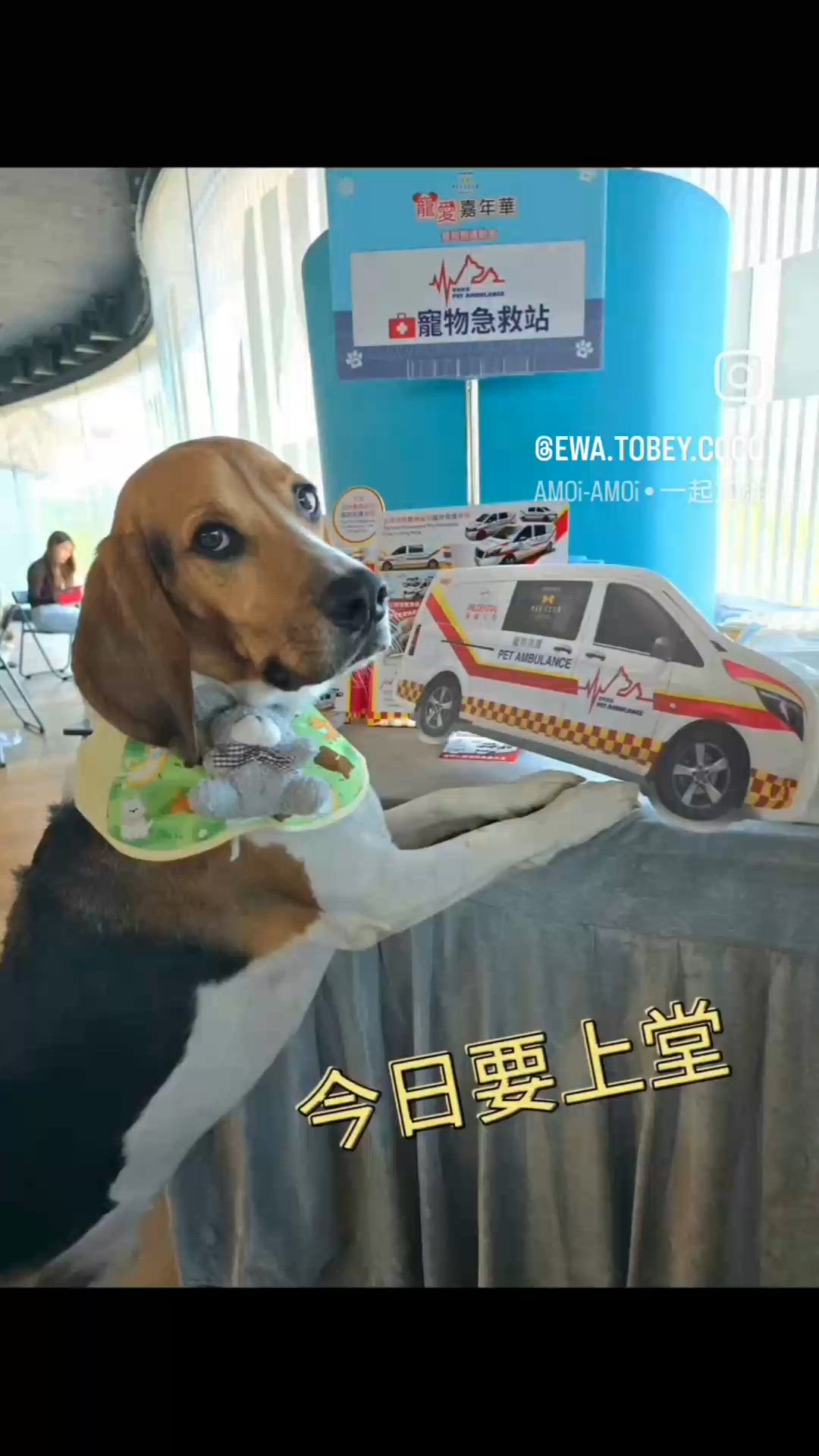 寵物救護車