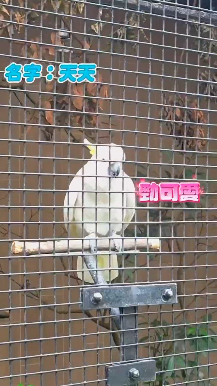 1.  嘉道理農場親子遊！11歲以下免費🥳 呼吸新鮮空氣！