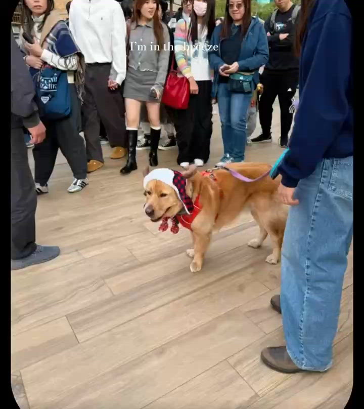 中港城聖誕市集🎄！週末限定！快啲嚟打卡買野🥳
