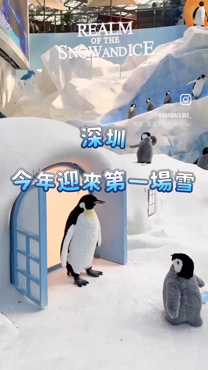 深圳今年迎來第一場雪