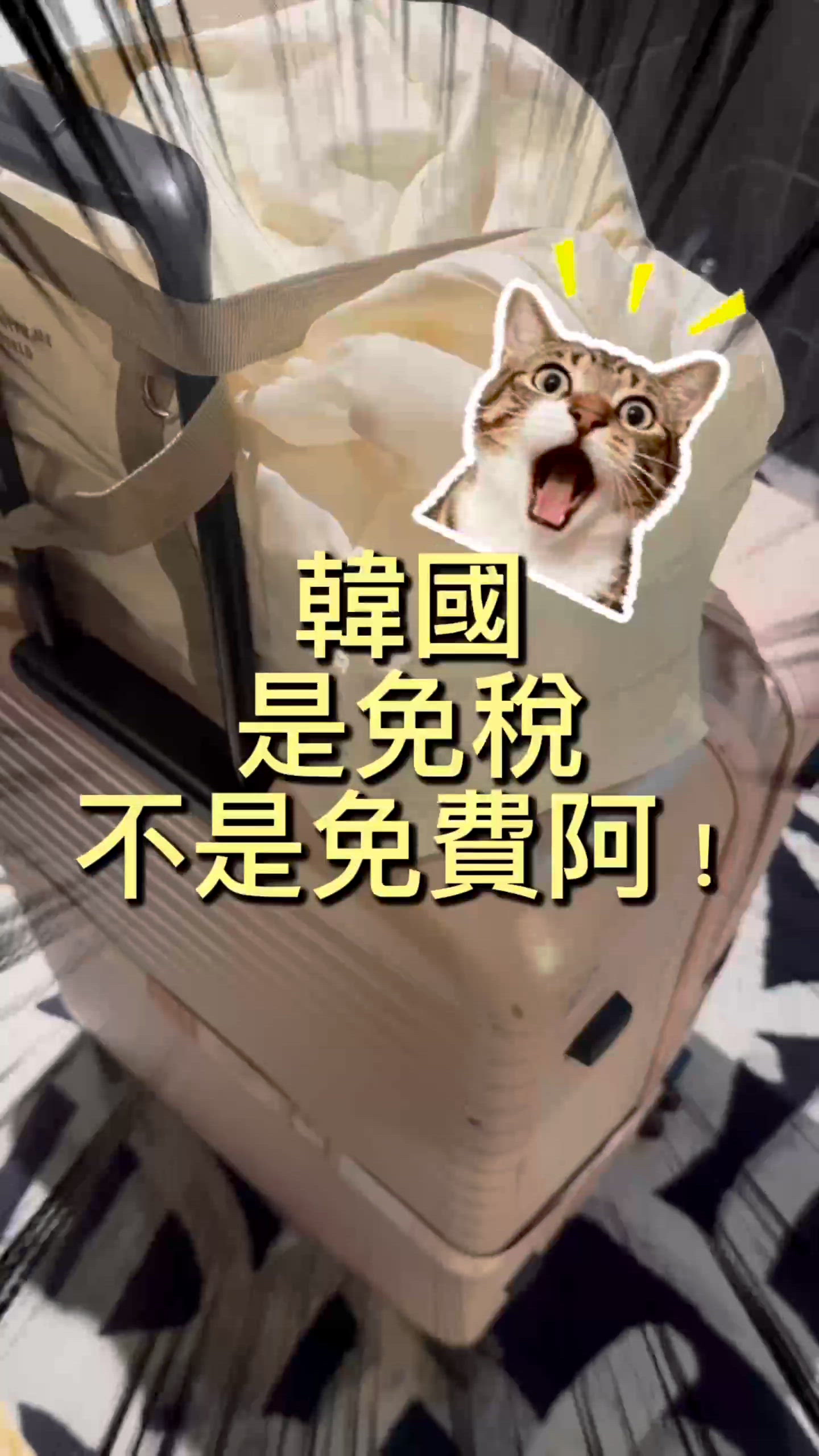 🇰🇷韓國最後衝刺！弘大寄存行李超方便🤩✈️