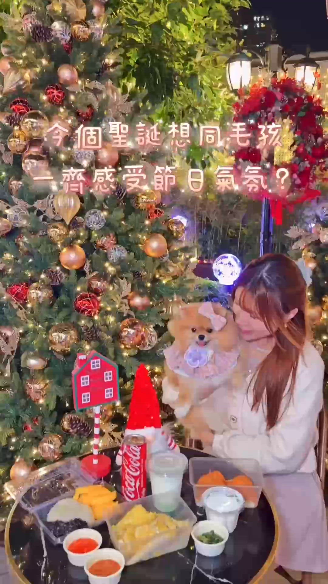 上水廣場聖誕市集🎄寵物友善🥳