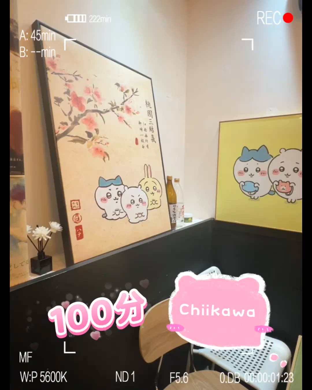 青雪商店🍜！有Chiikawa💯！