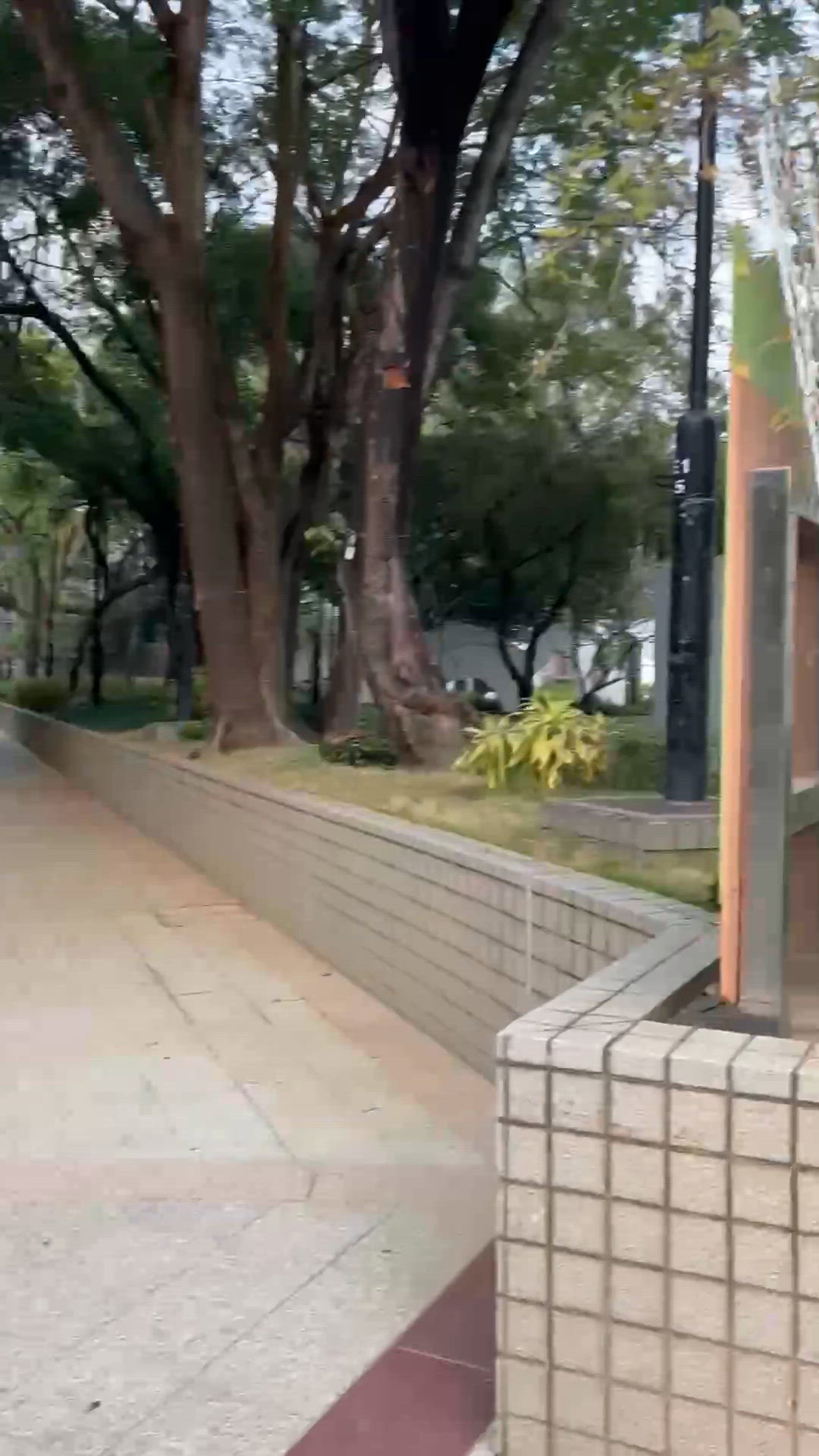 天水圍必去新開放親子遊樂場！