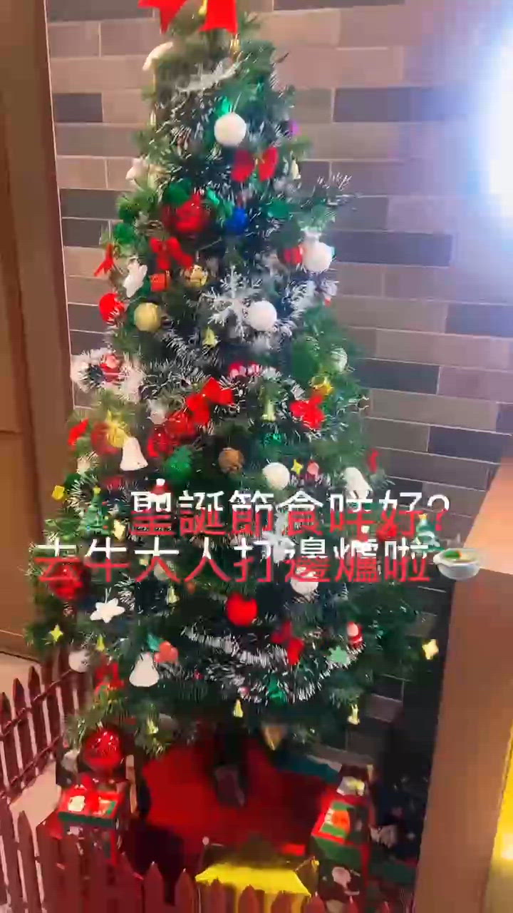 🥢 聖誕節🎄聚餐推薦~