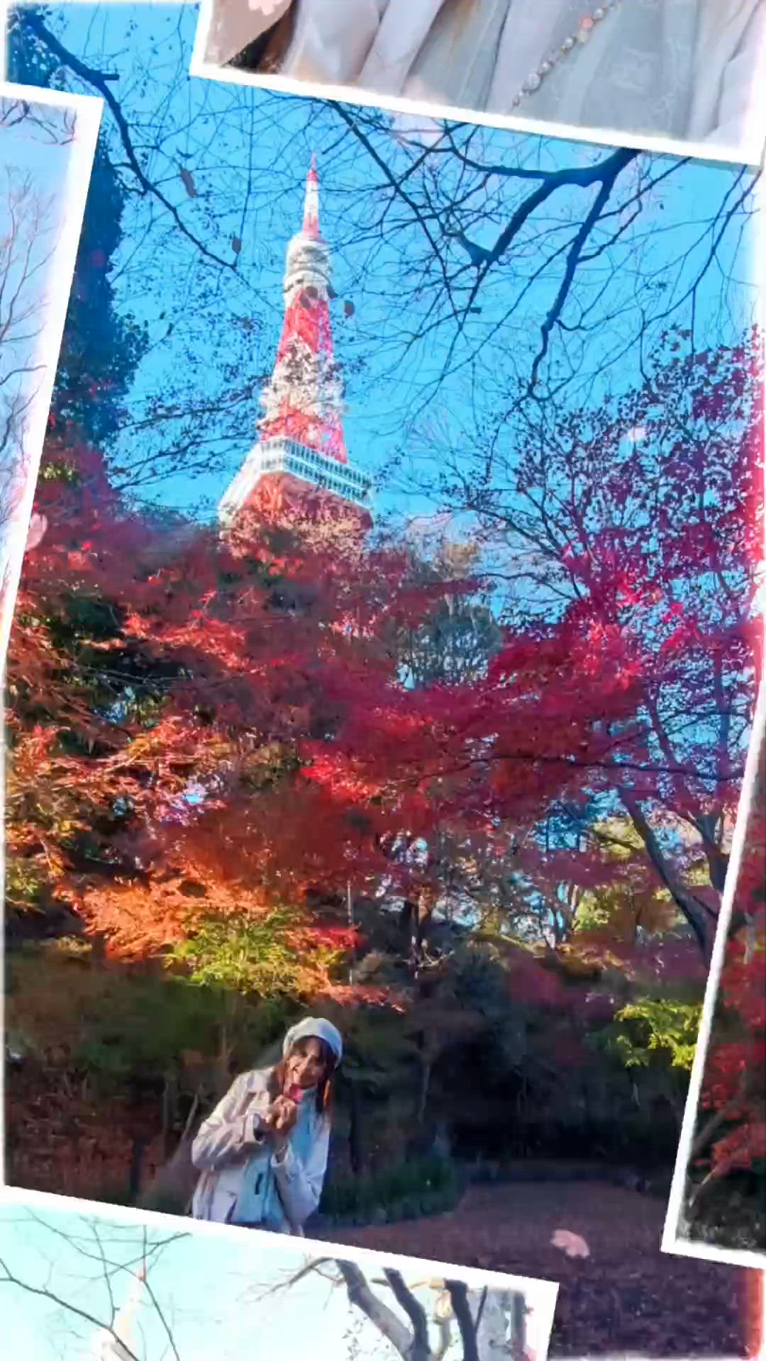 東京鐵塔與楓葉童幅框 太美了🍁😍