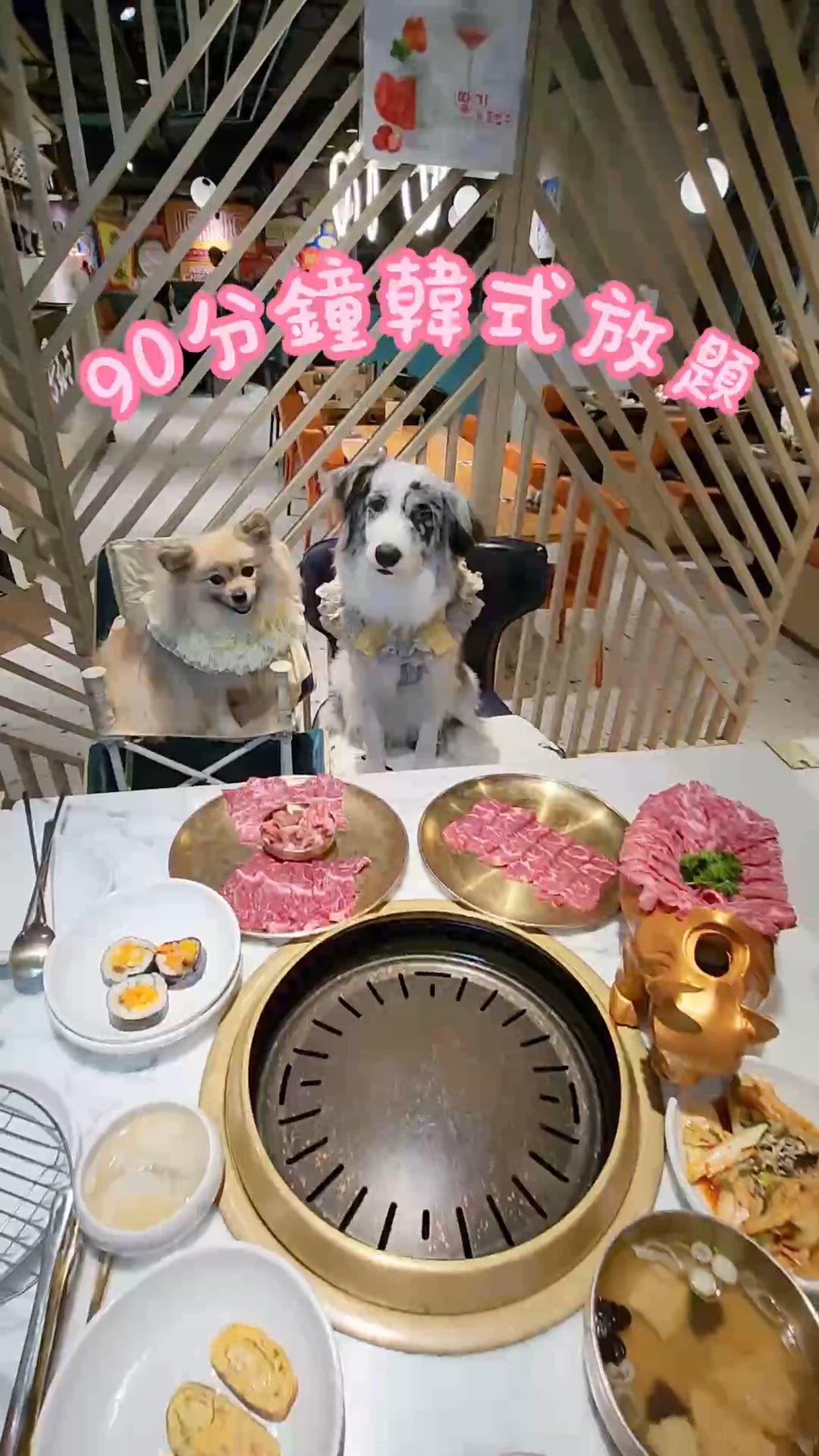 毛孩都食得的韓牛放題｜K11 Art Mall寵物友善韓燒